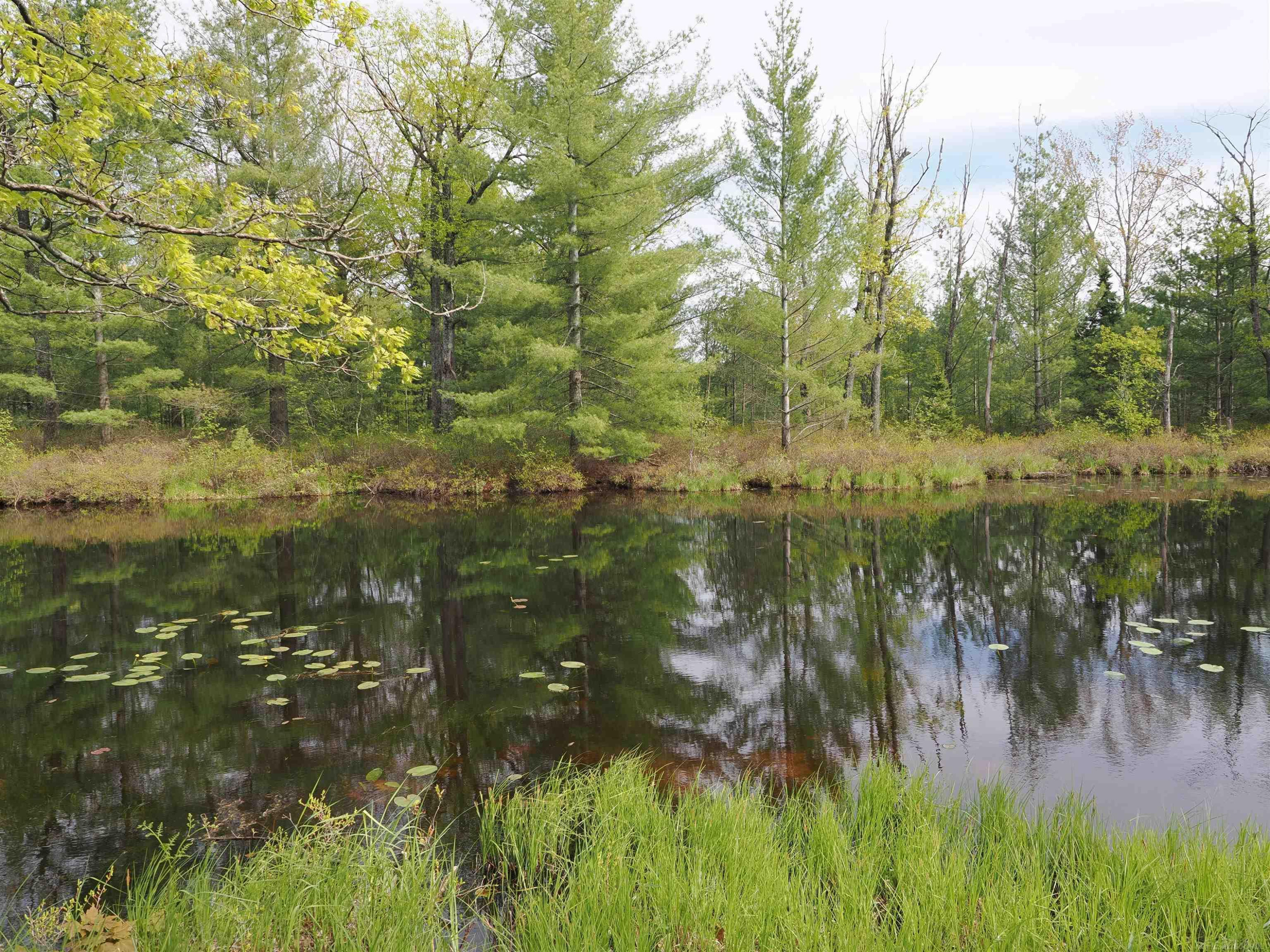 4011 SANDALL Road, Alpena, MI 49707 — Photo 3