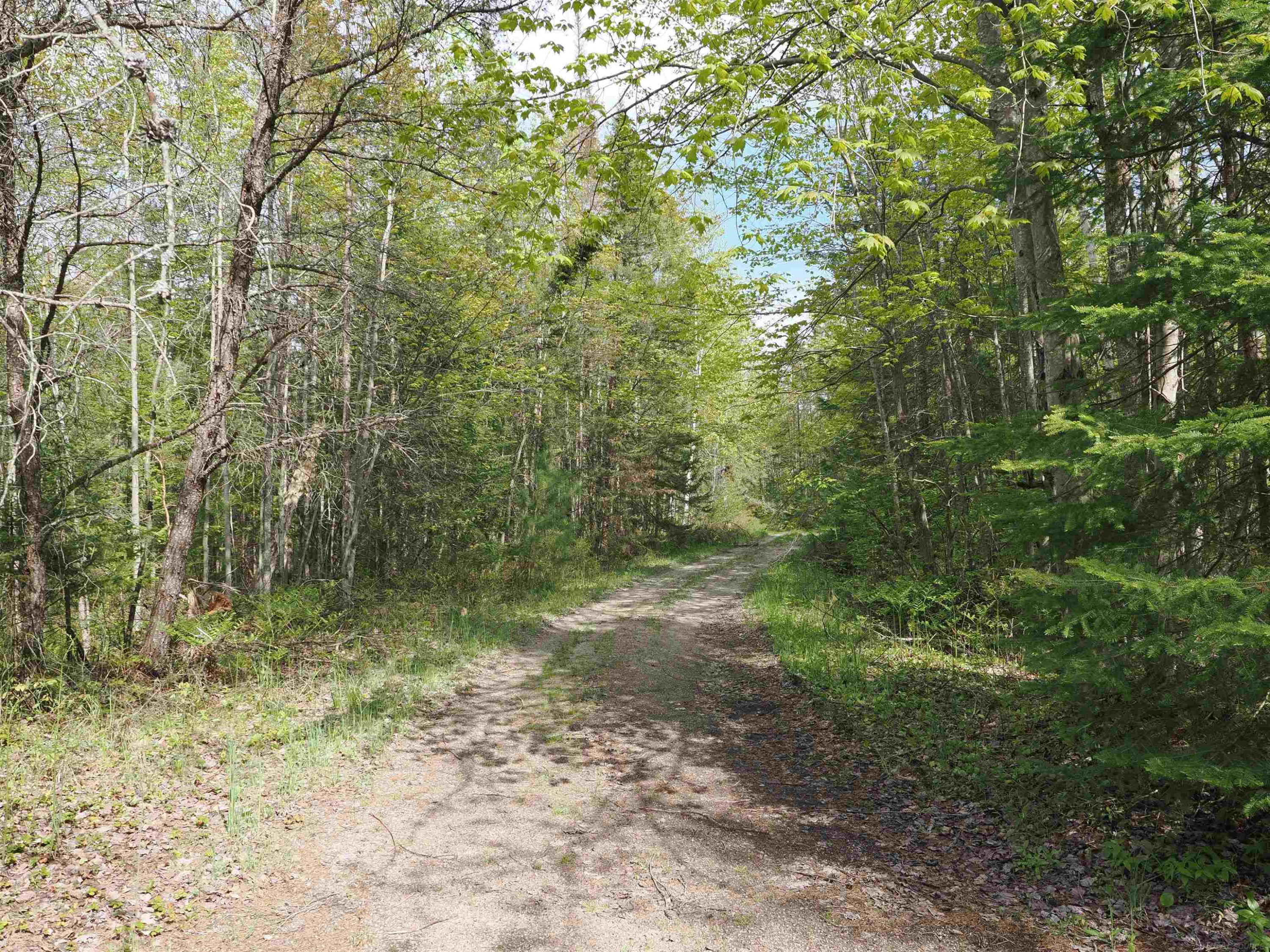 4011 SANDALL Road, Alpena, MI 49707 — Photo 29
