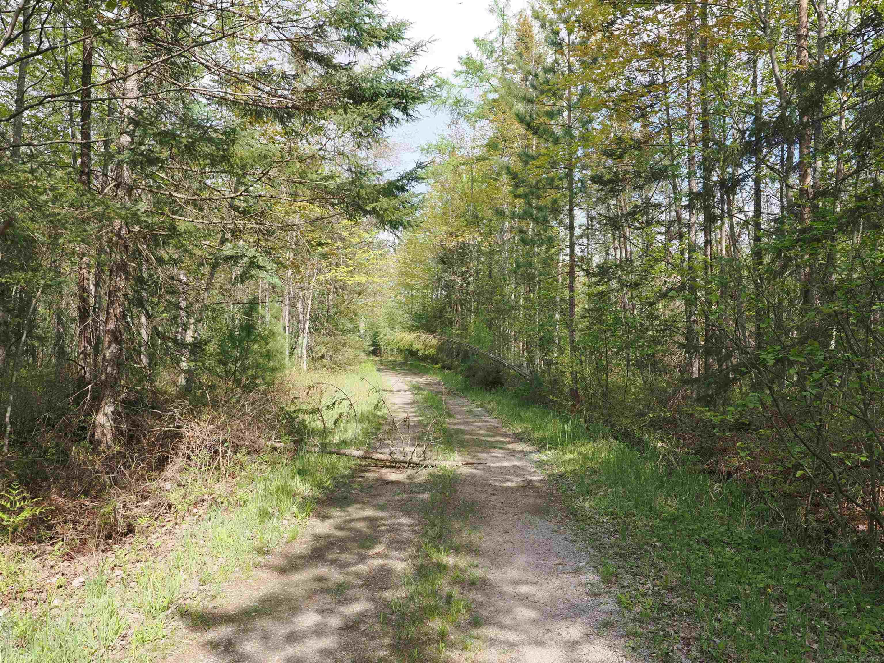 4011 SANDALL Road, Alpena, MI 49707 — Photo 32