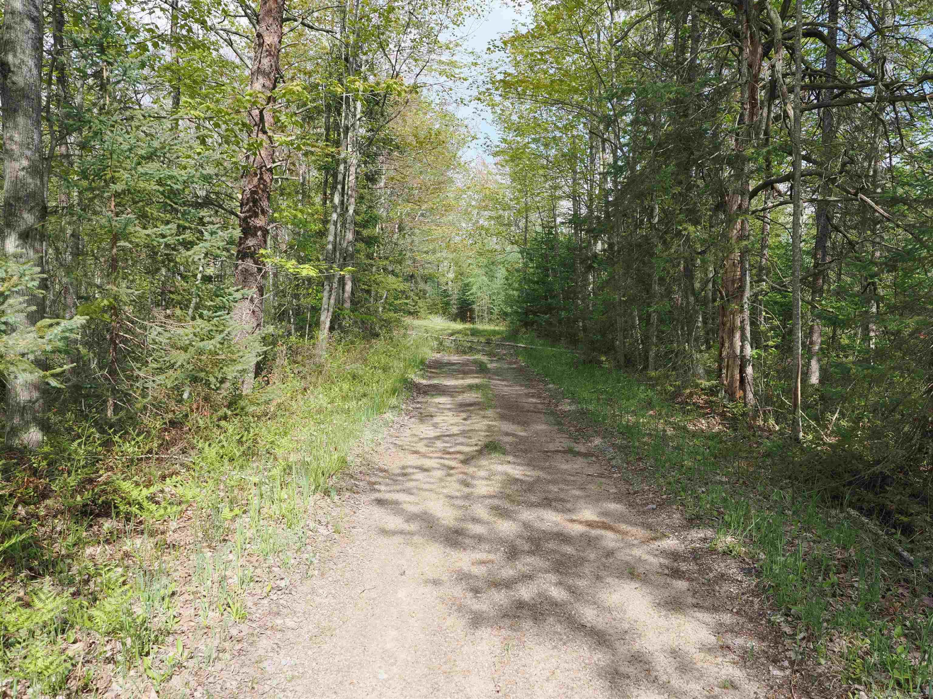 4011 SANDALL Road, Alpena, MI 49707 — Photo 33