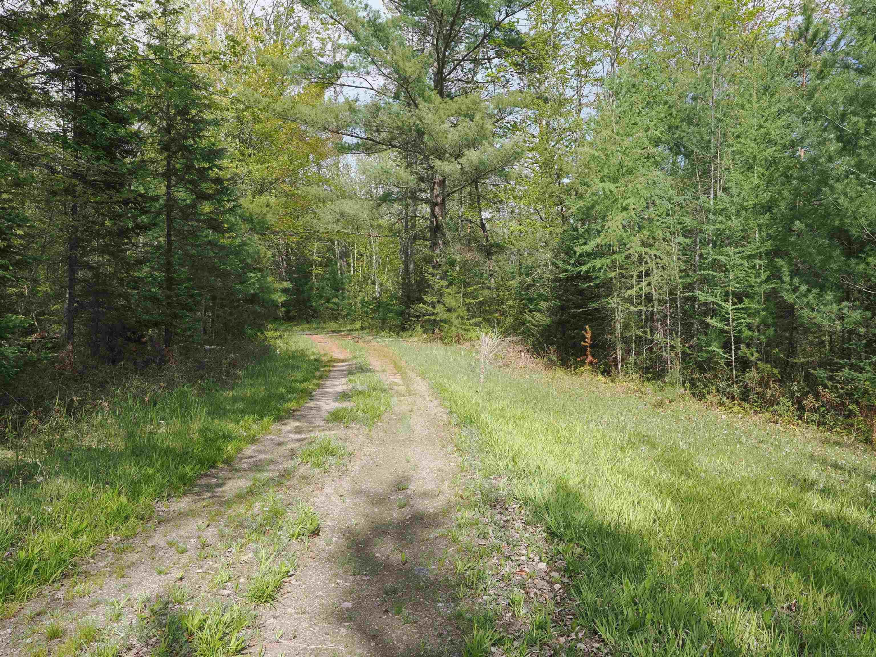4011 SANDALL Road, Alpena, MI 49707 — Photo 34
