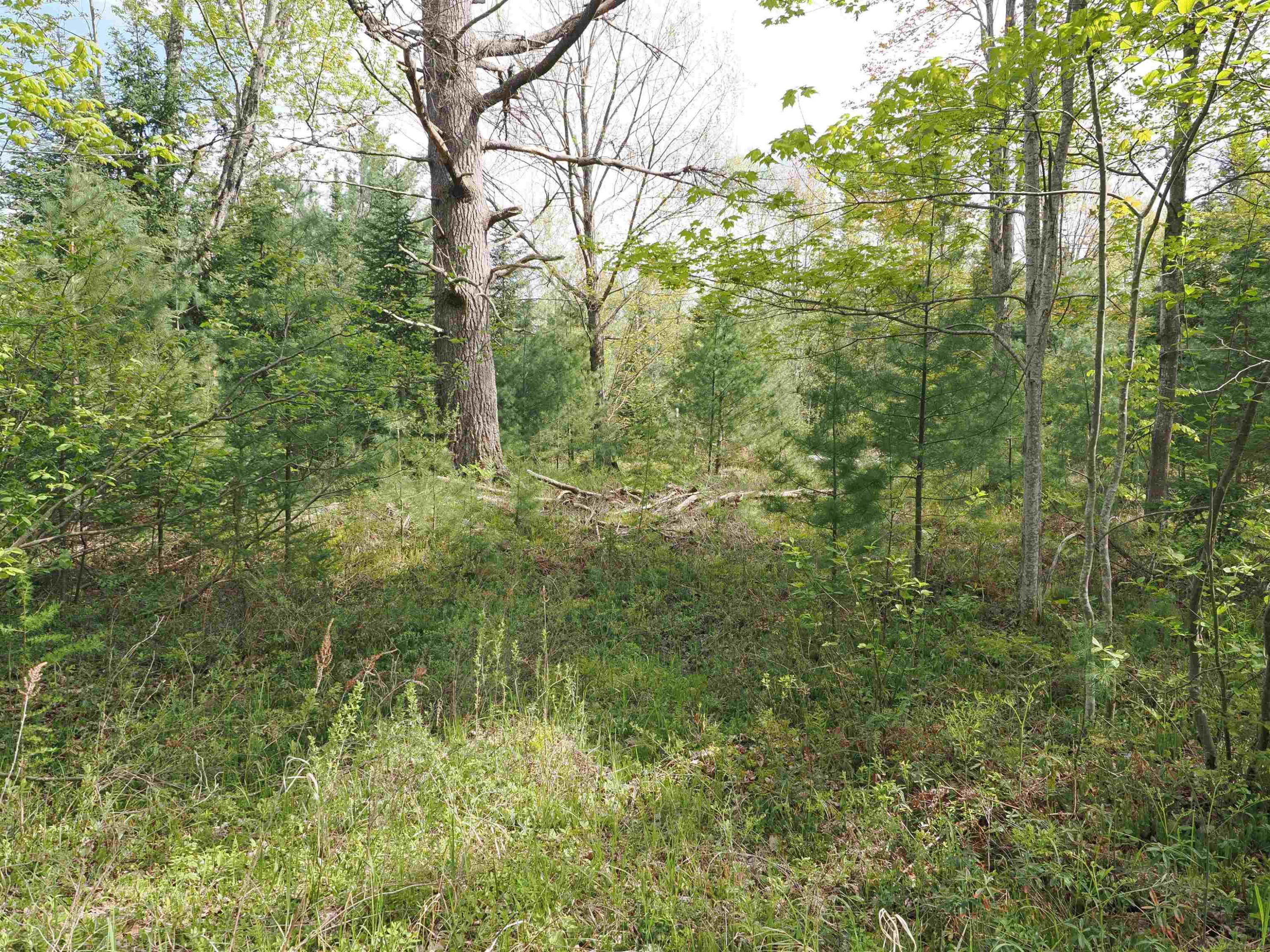 4011 SANDALL Road, Alpena, MI 49707 — Photo 35