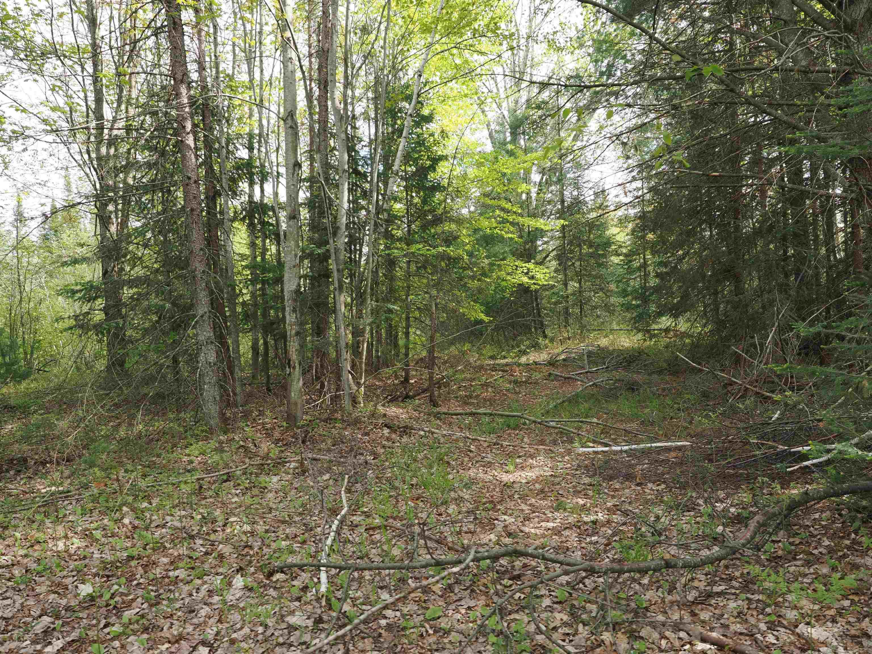 4011 SANDALL Road, Alpena, MI 49707 — Photo 36