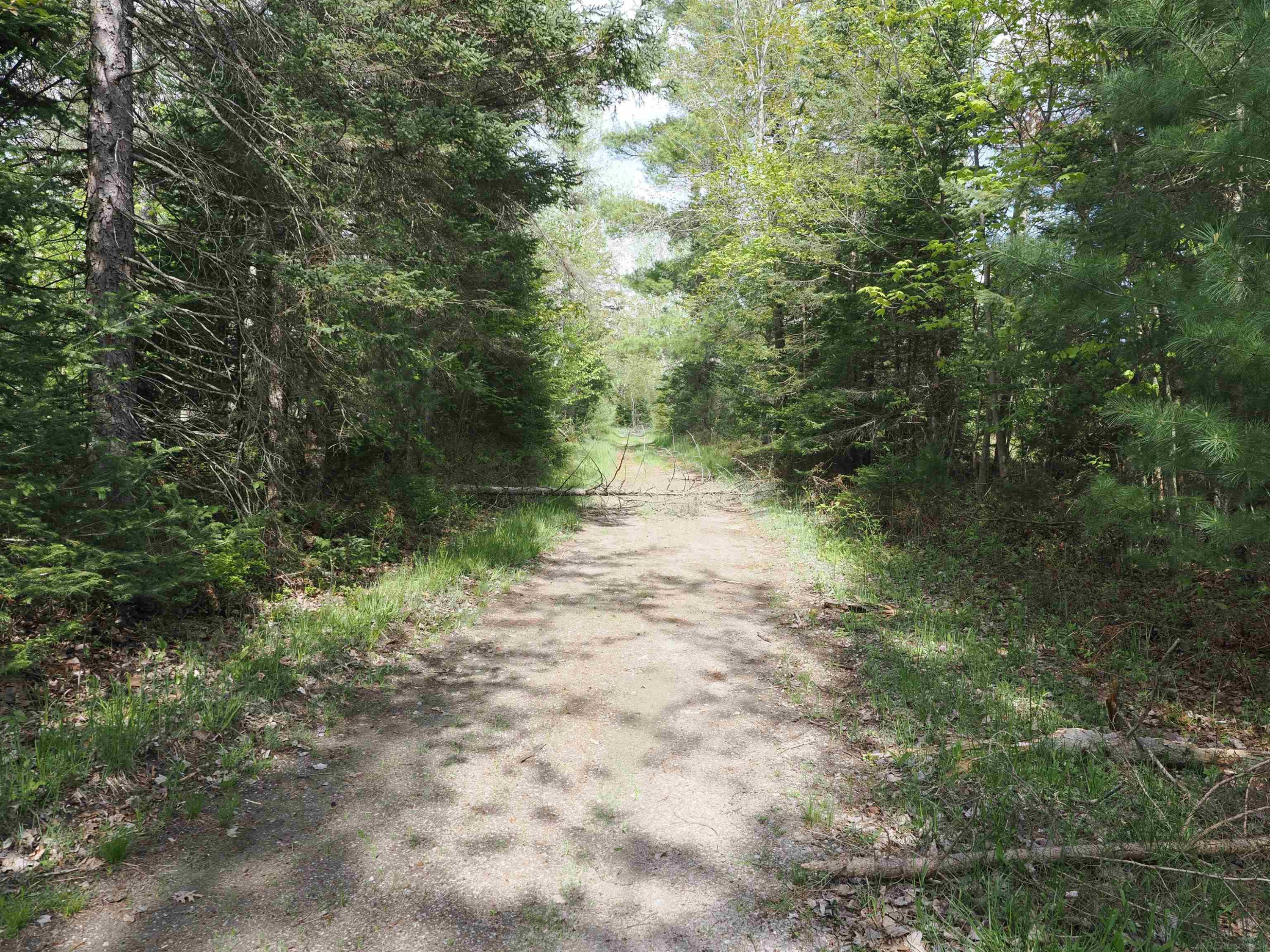 4011 SANDALL Road, Alpena, MI 49707 — Photo 37