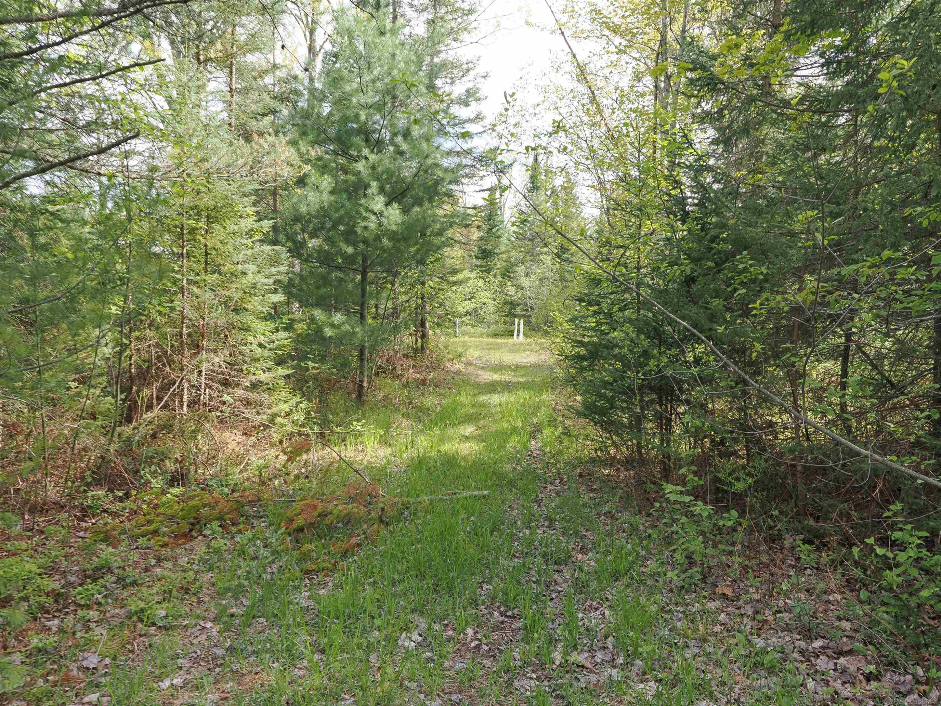 4011 SANDALL Road, Alpena, MI 49707 — Photo 38