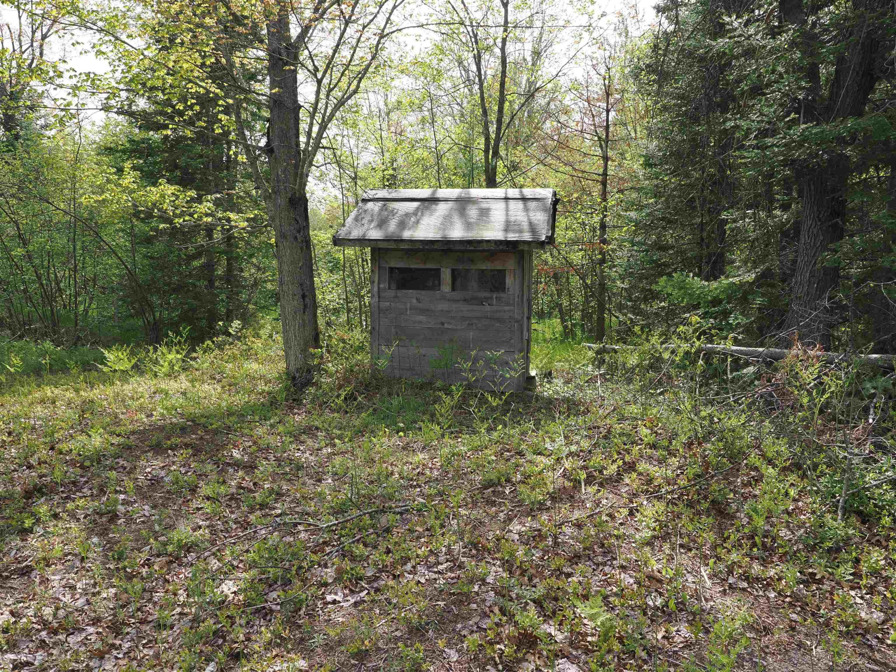 4011 SANDALL Road, Alpena, MI 49707 — Photo 39