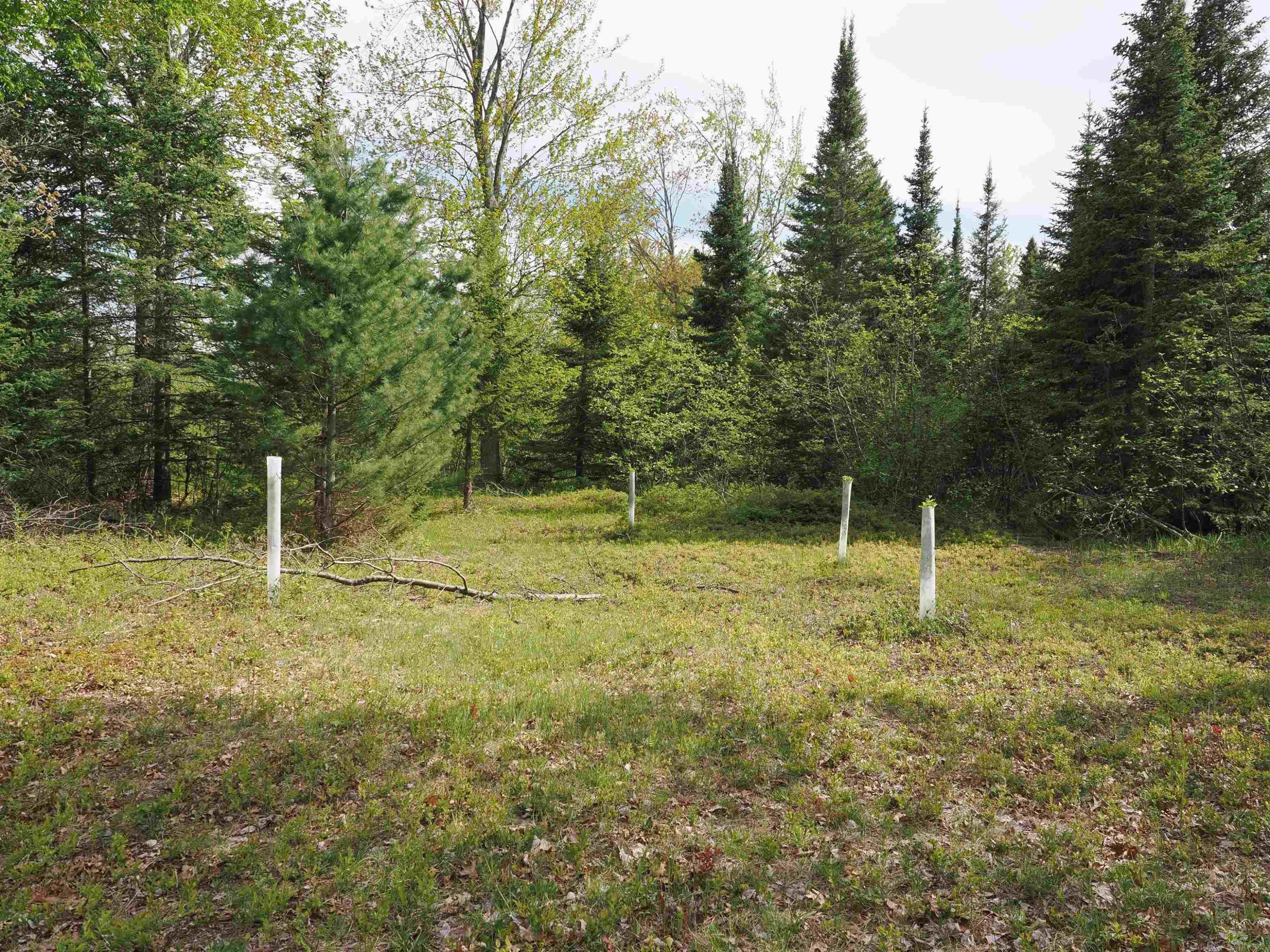4011 SANDALL Road, Alpena, MI 49707 — Photo 40