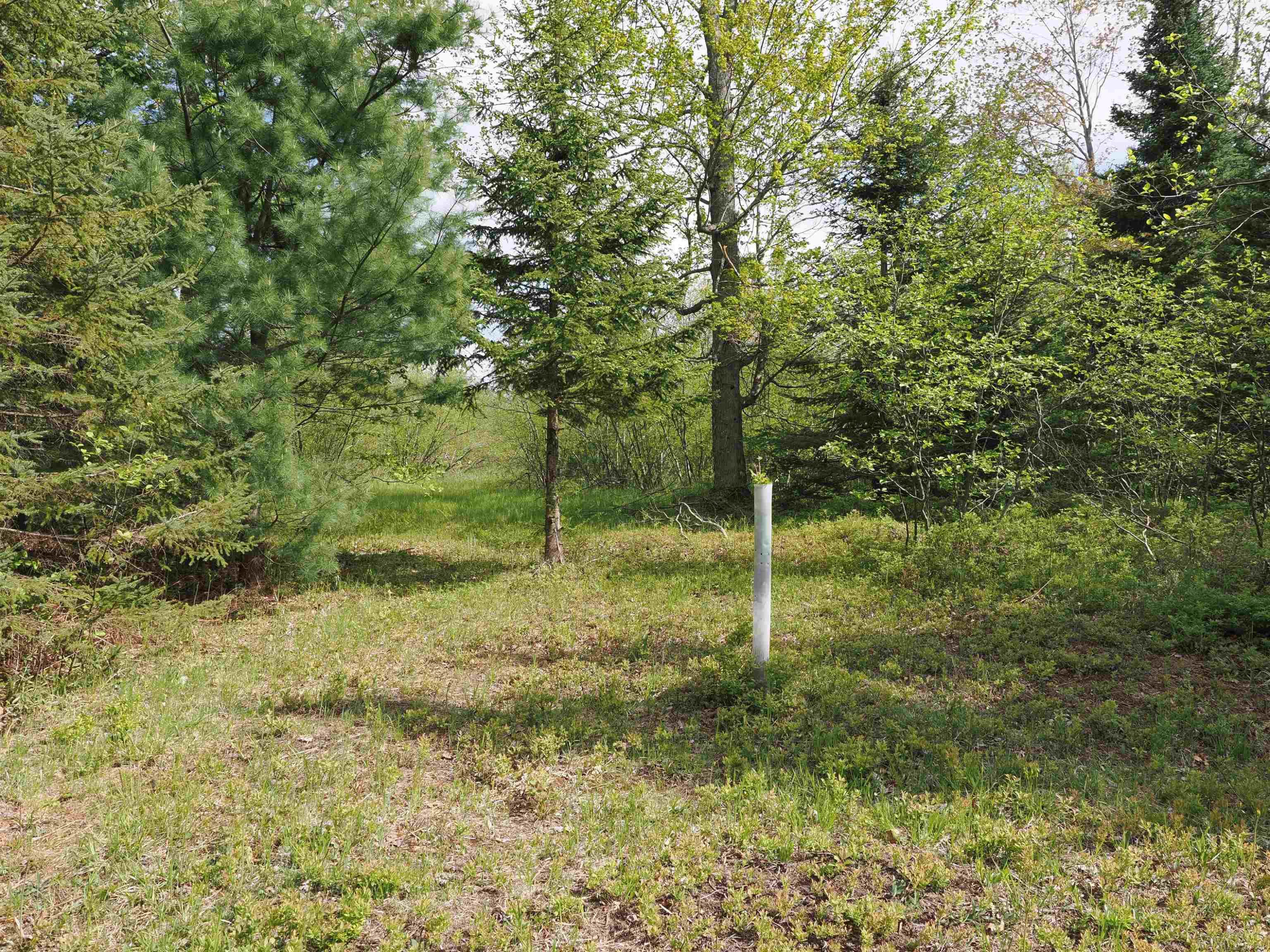4011 SANDALL Road, Alpena, MI 49707 — Photo 41