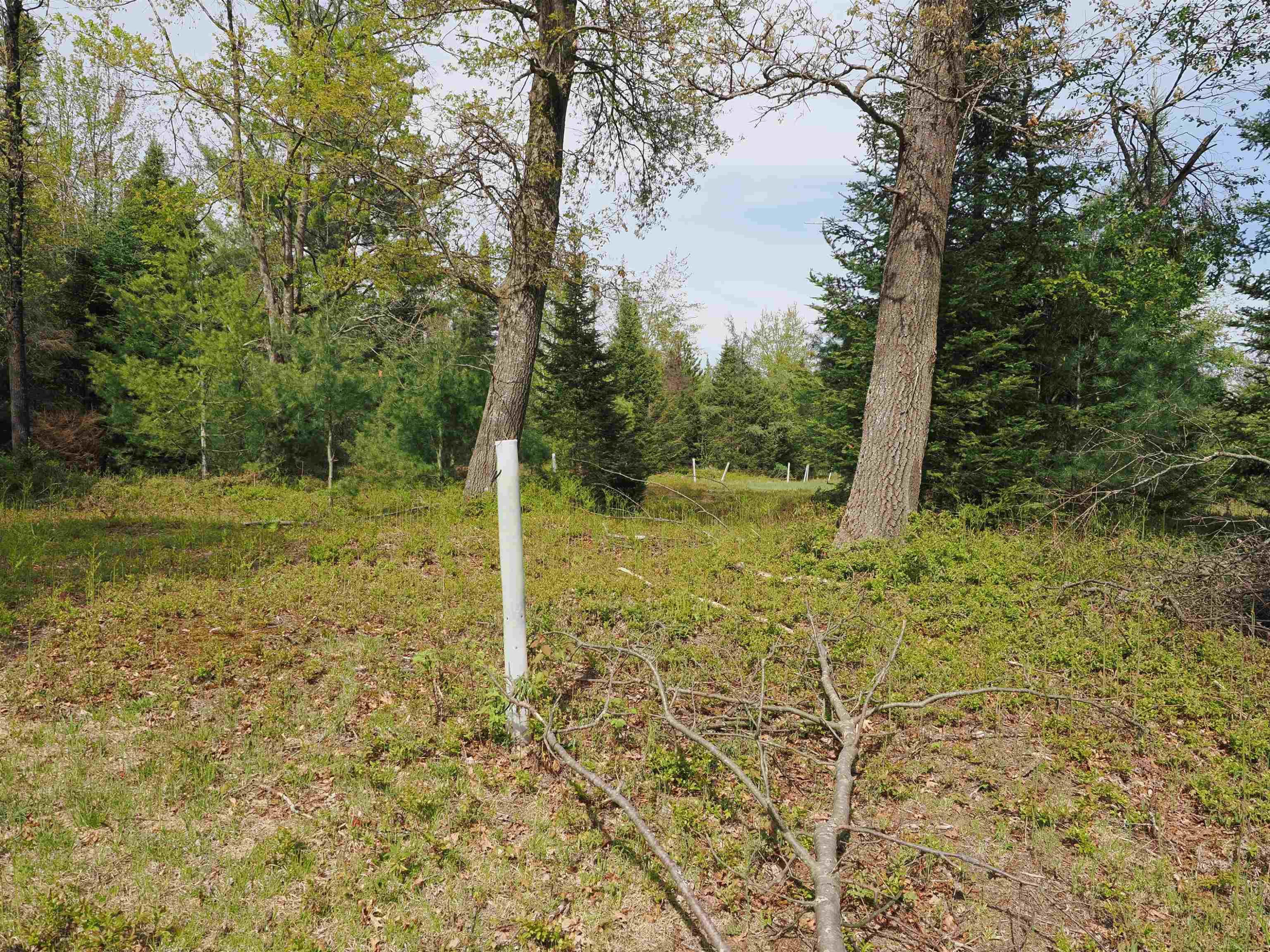 4011 SANDALL Road, Alpena, MI 49707 — Photo 42
