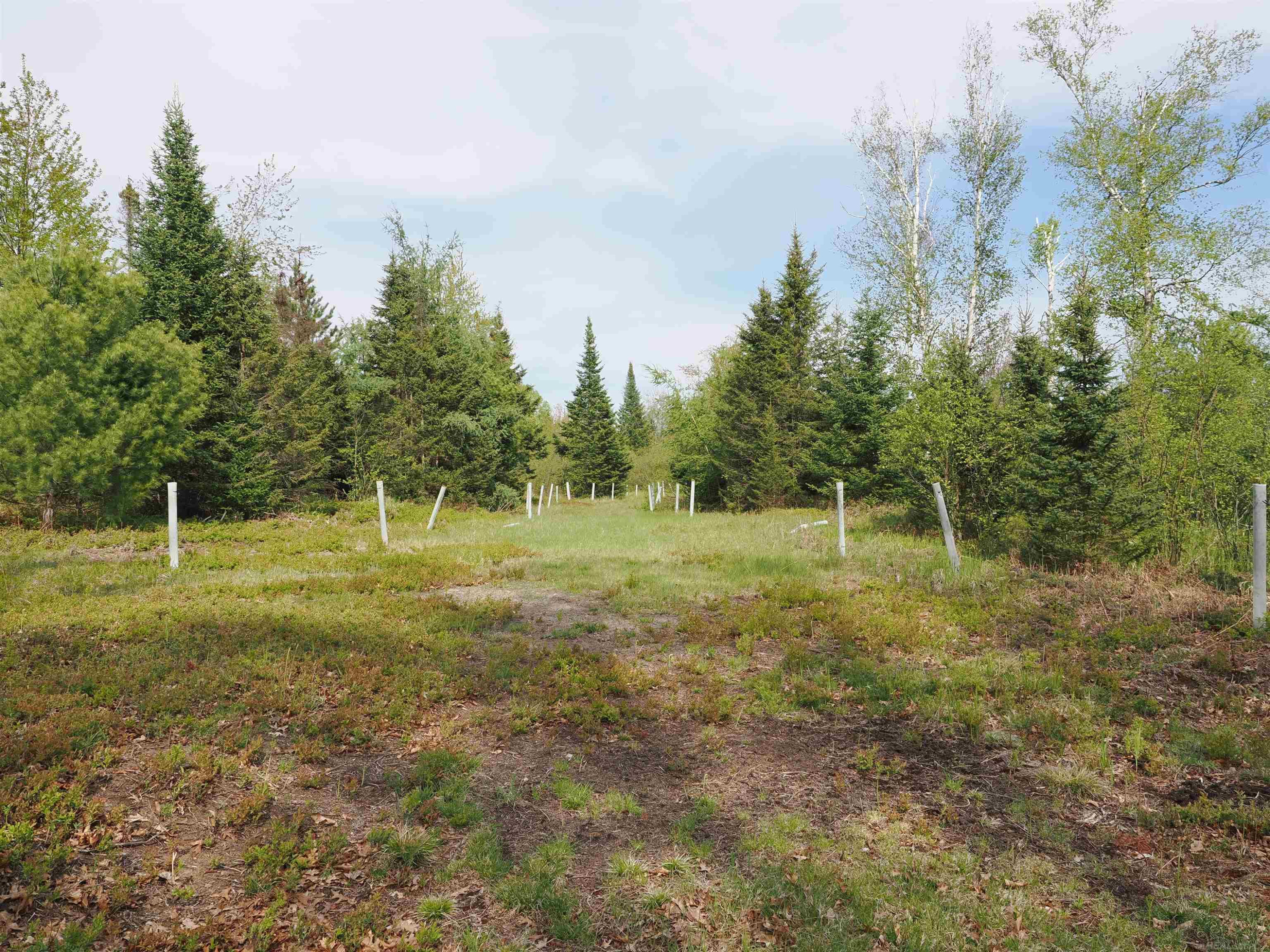 4011 SANDALL Road, Alpena, MI 49707 — Photo 43