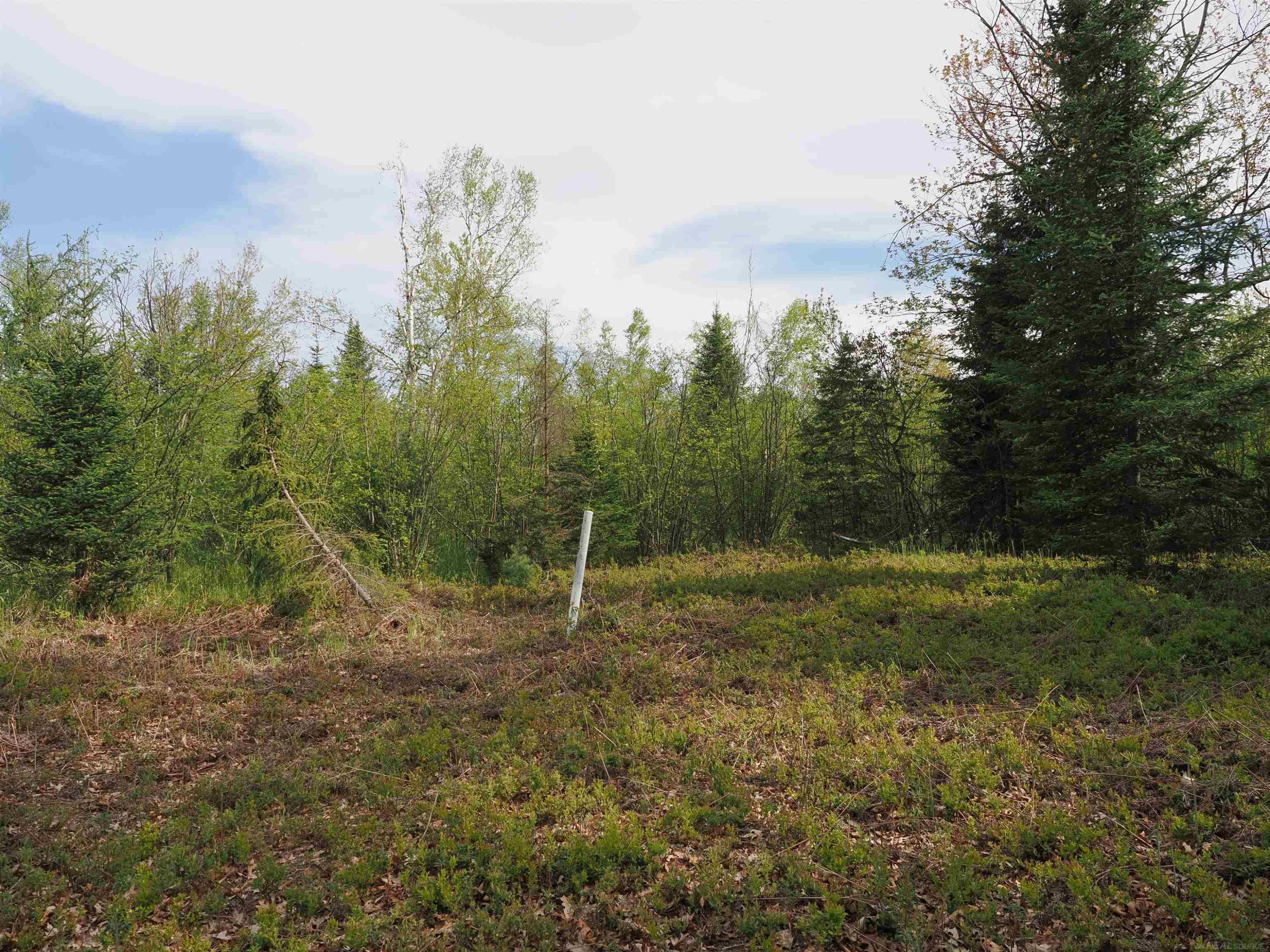 4011 SANDALL Road, Alpena, MI 49707 — Photo 44