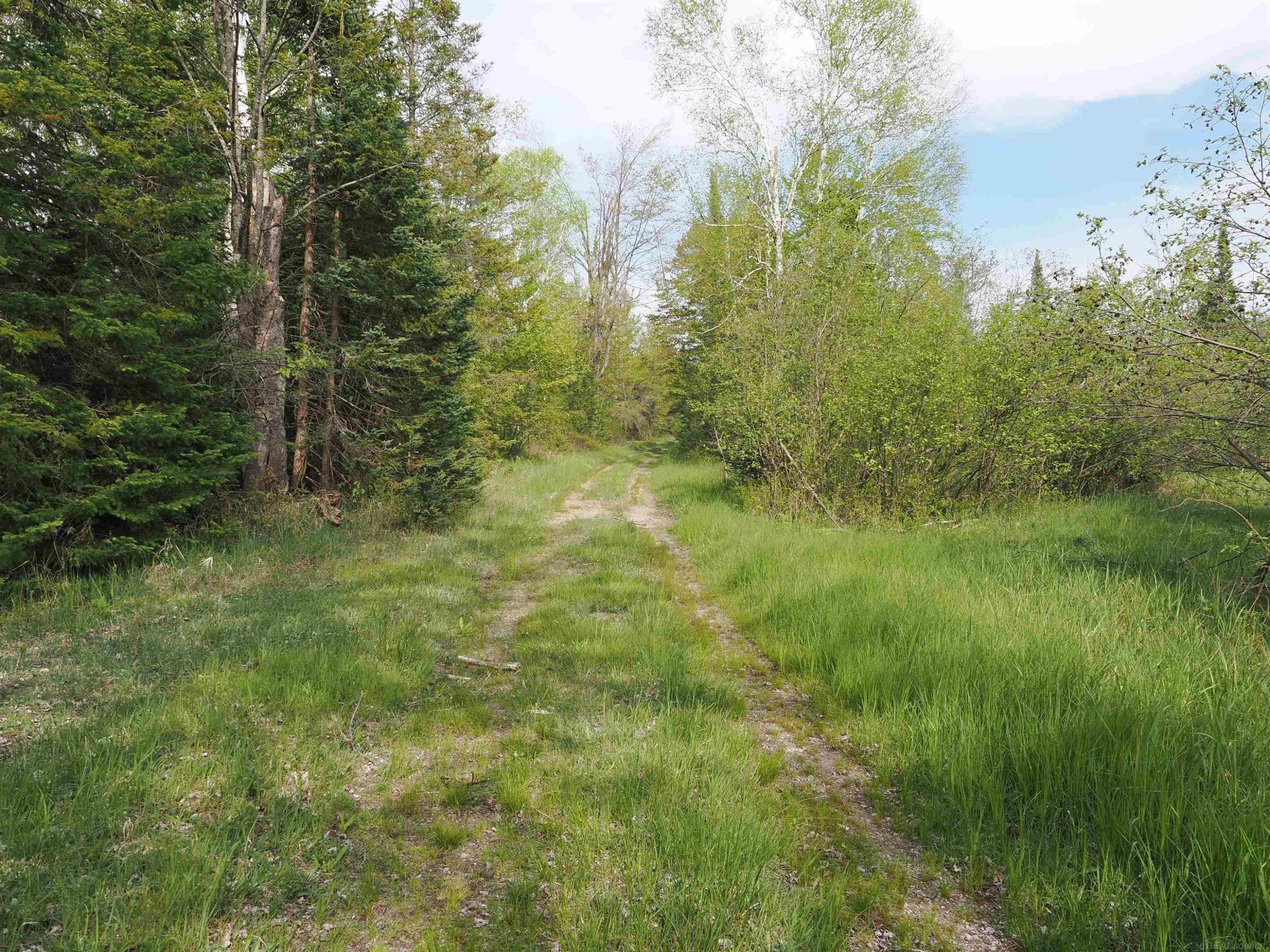 4011 SANDALL Road, Alpena, MI 49707 — Photo 47