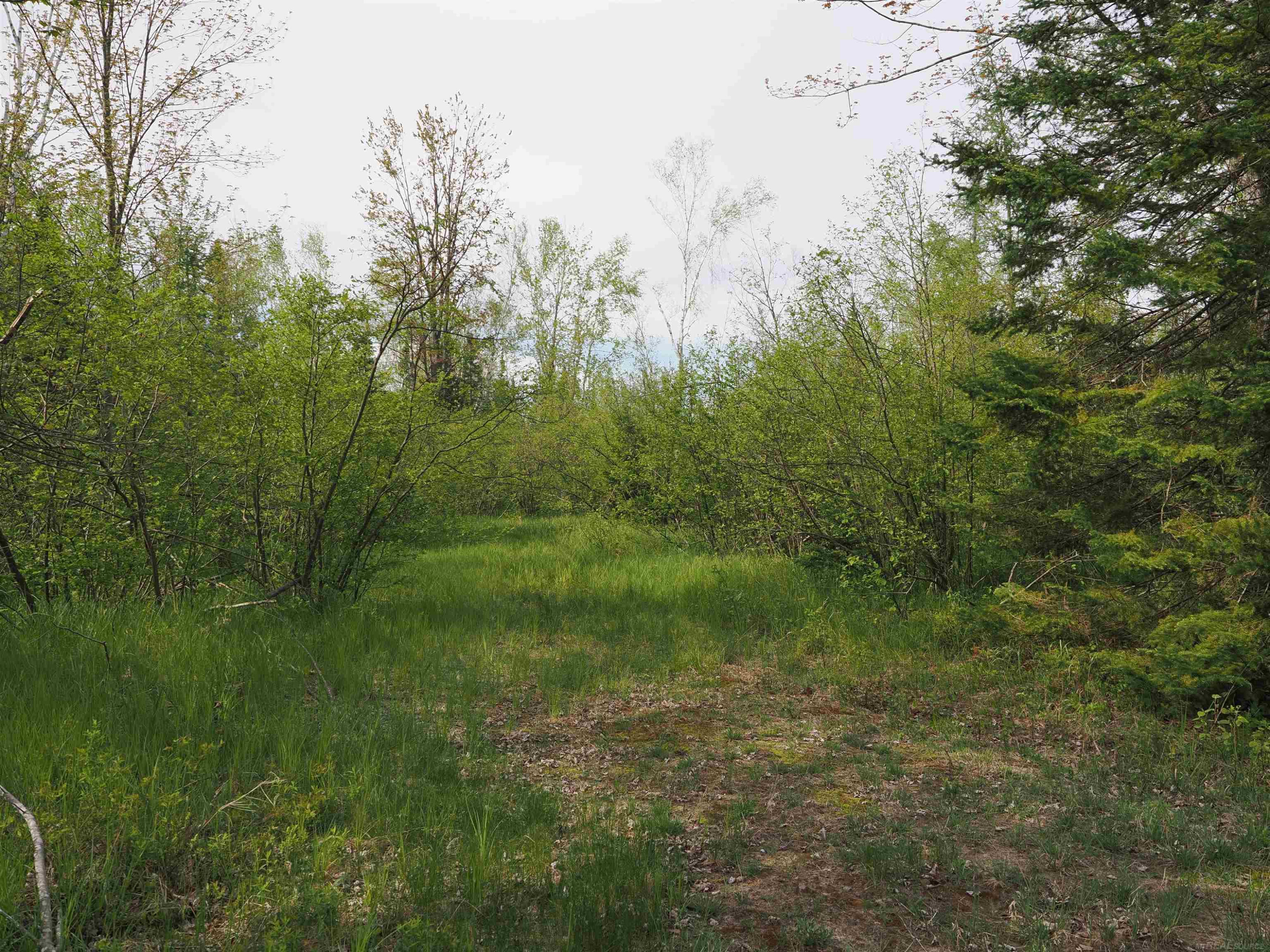 4011 SANDALL Road, Alpena, MI 49707 — Photo 48