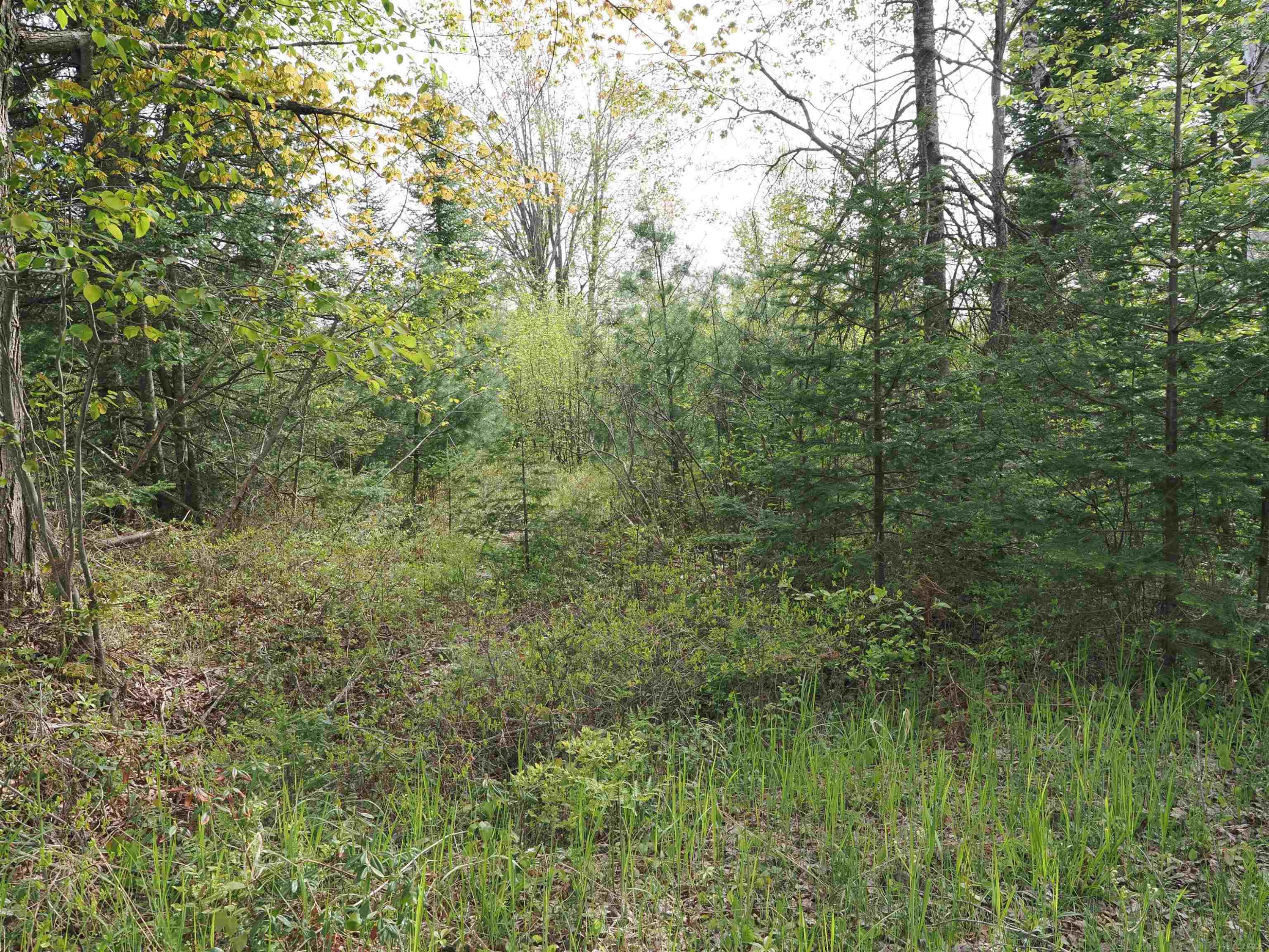 4011 SANDALL Road, Alpena, MI 49707 — Photo 49