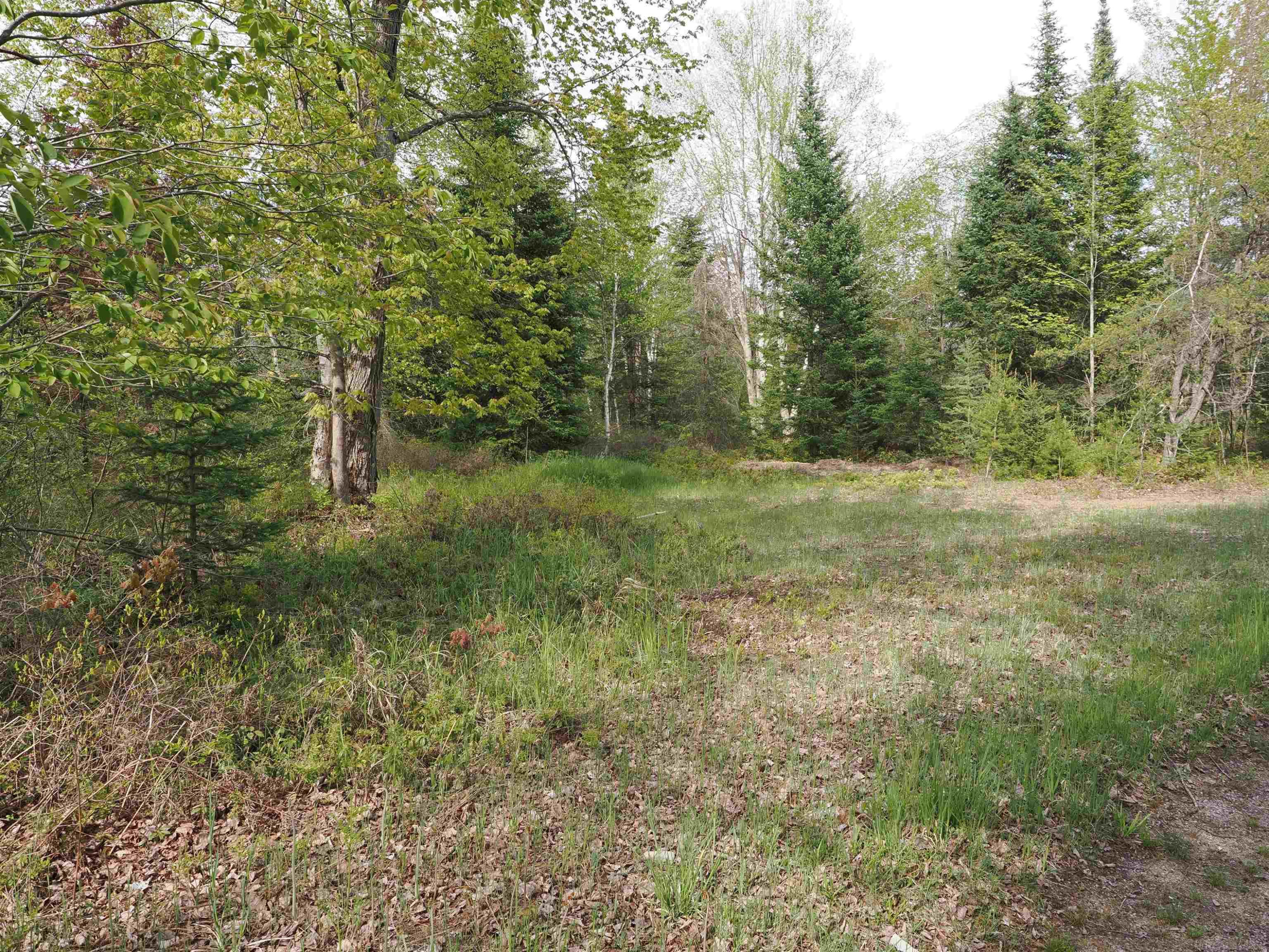 4011 SANDALL Road, Alpena, MI 49707 — Photo 50