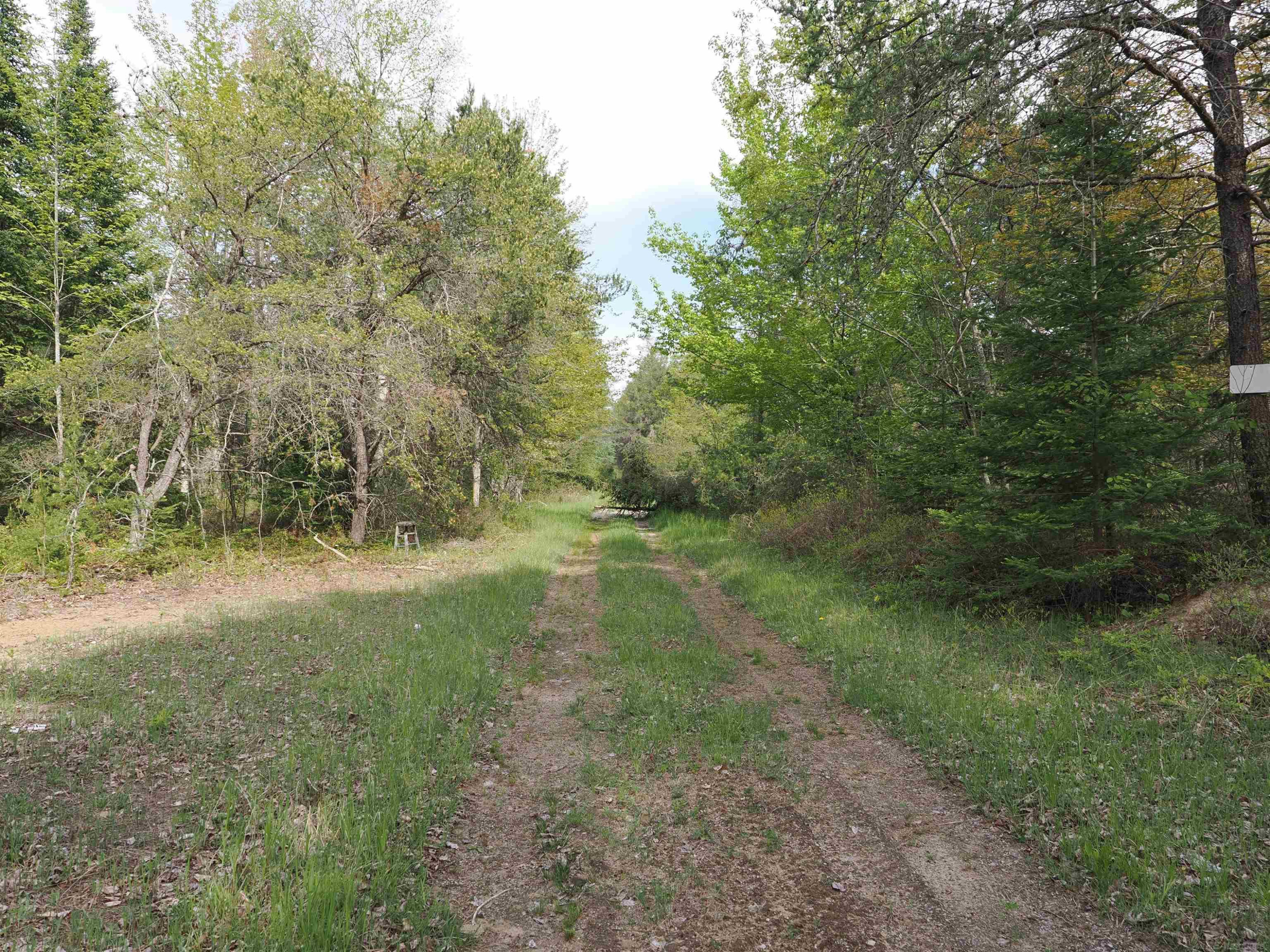 4011 SANDALL Road, Alpena, MI 49707 — Photo 51