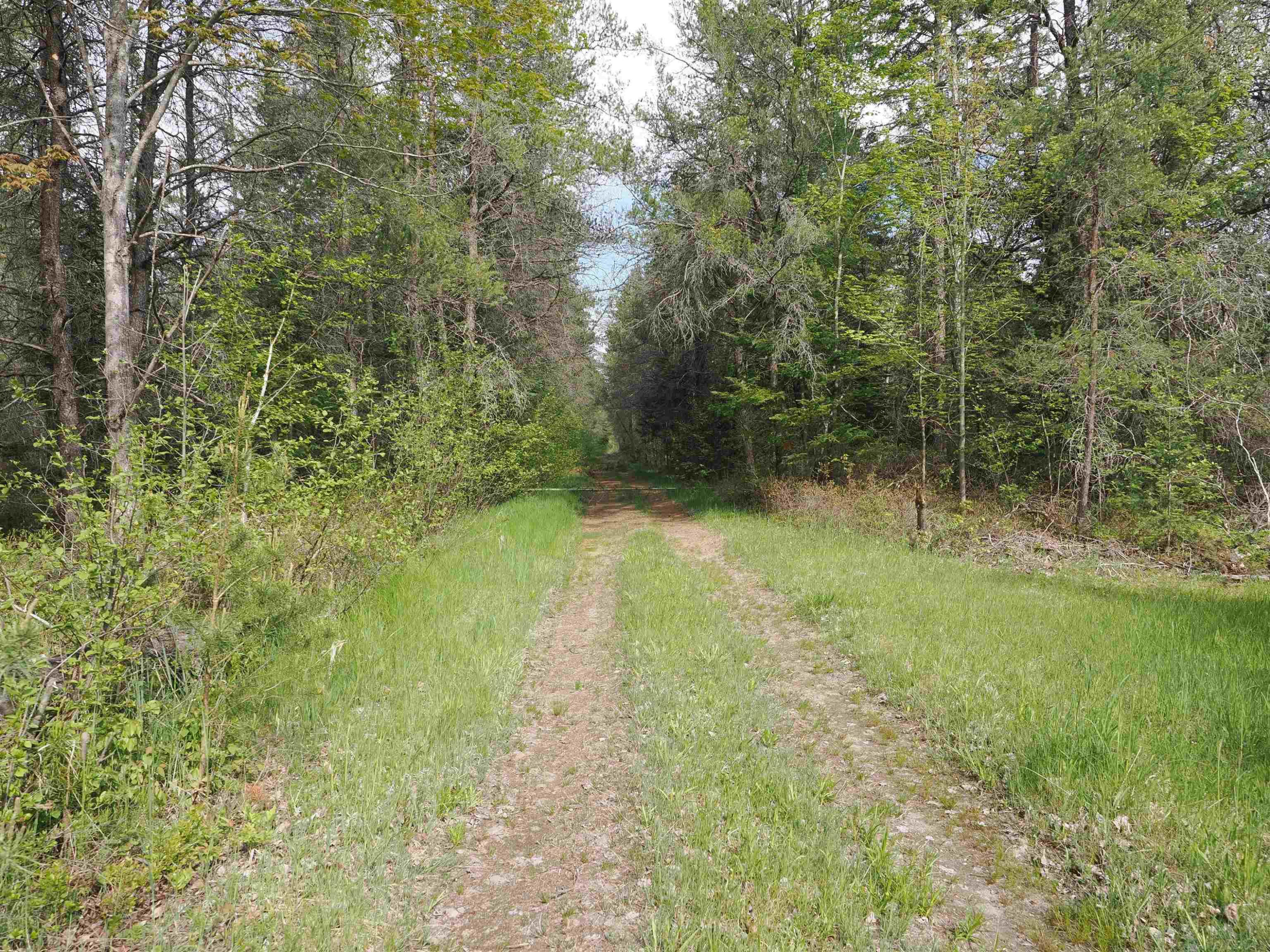 4011 SANDALL Road, Alpena, MI 49707 — Photo 52
