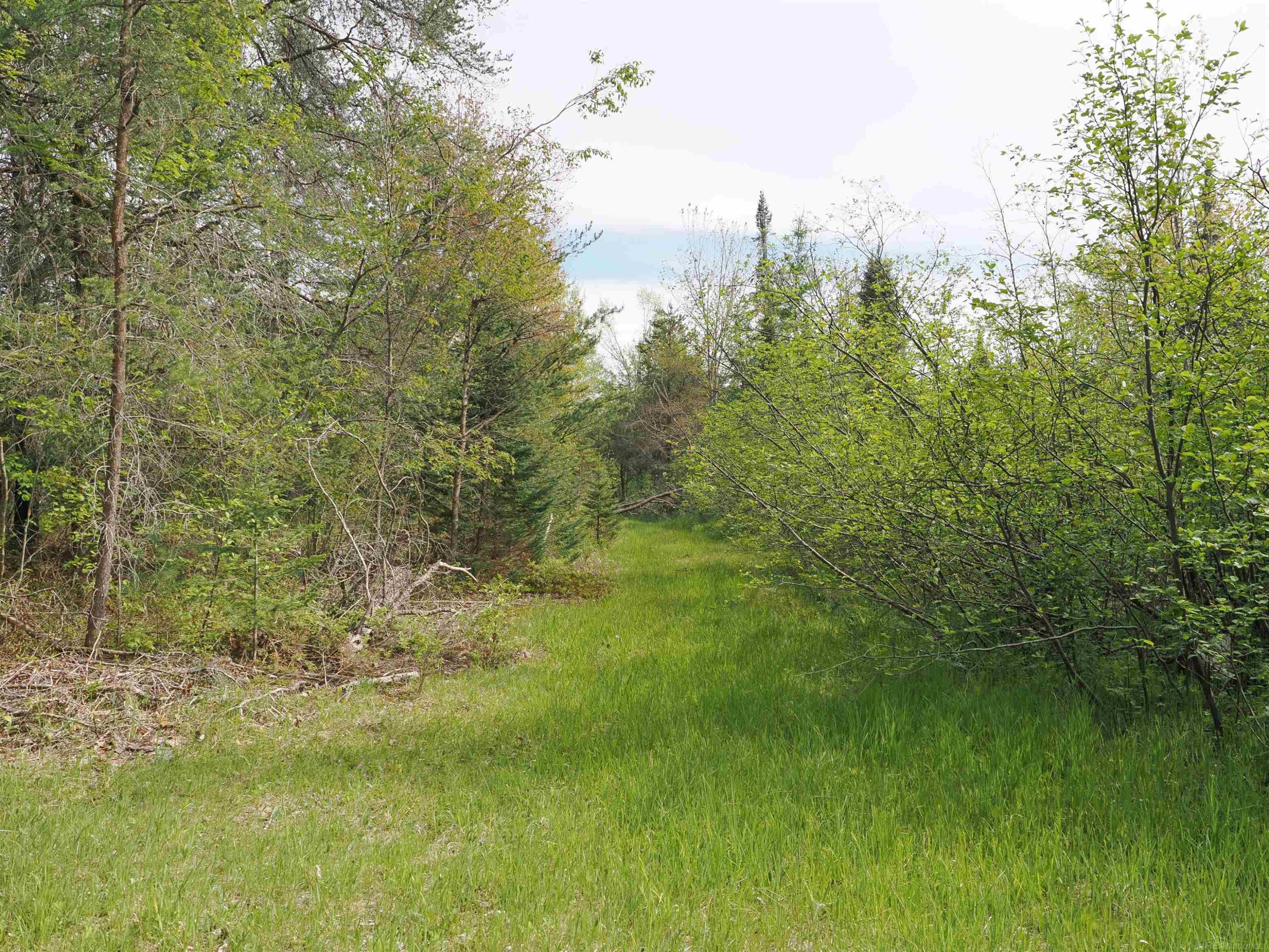 4011 SANDALL Road, Alpena, MI 49707 — Photo 53