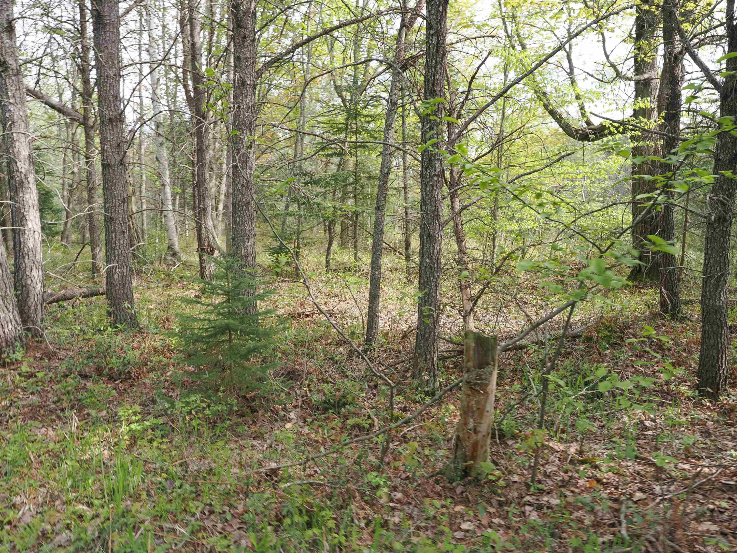 4011 SANDALL Road, Alpena, MI 49707 — Photo 57