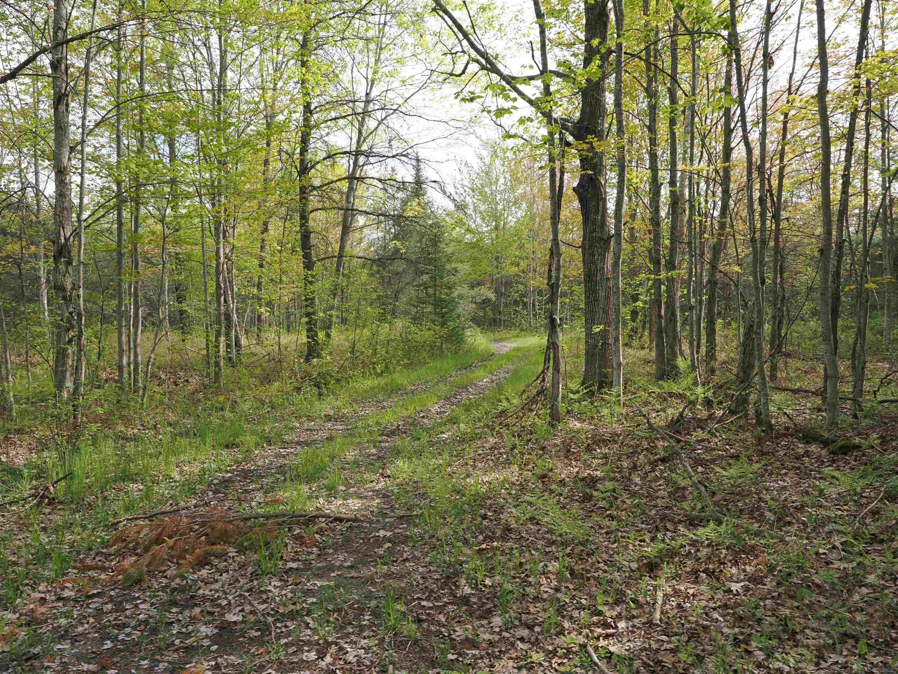 4011 SANDALL Road, Alpena, MI 49707 — Photo 58