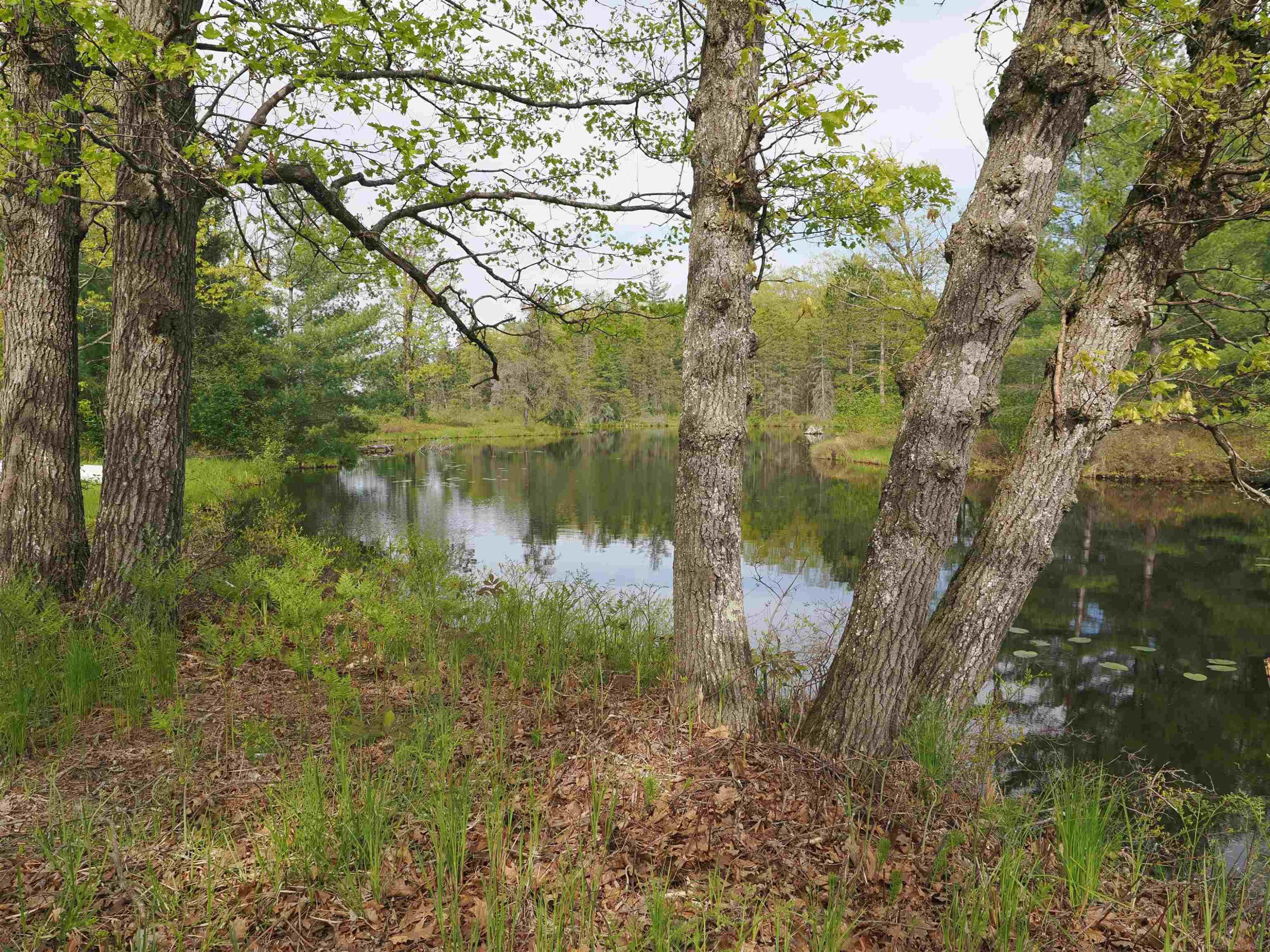 4011 SANDALL Road, Alpena, MI 49707 — Photo 65