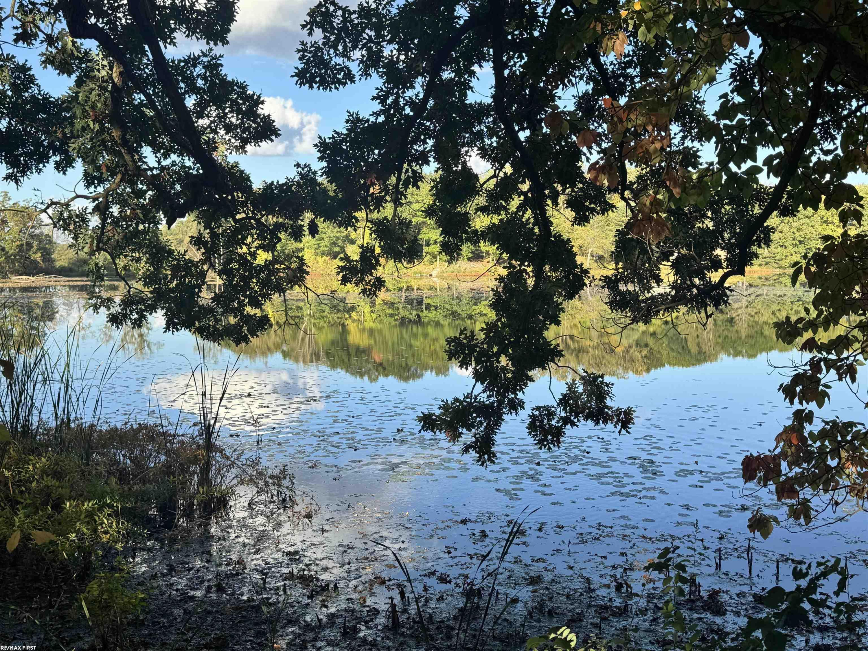 0000 Round Lake Lane, Leonard, MI 48367 — Photo 8