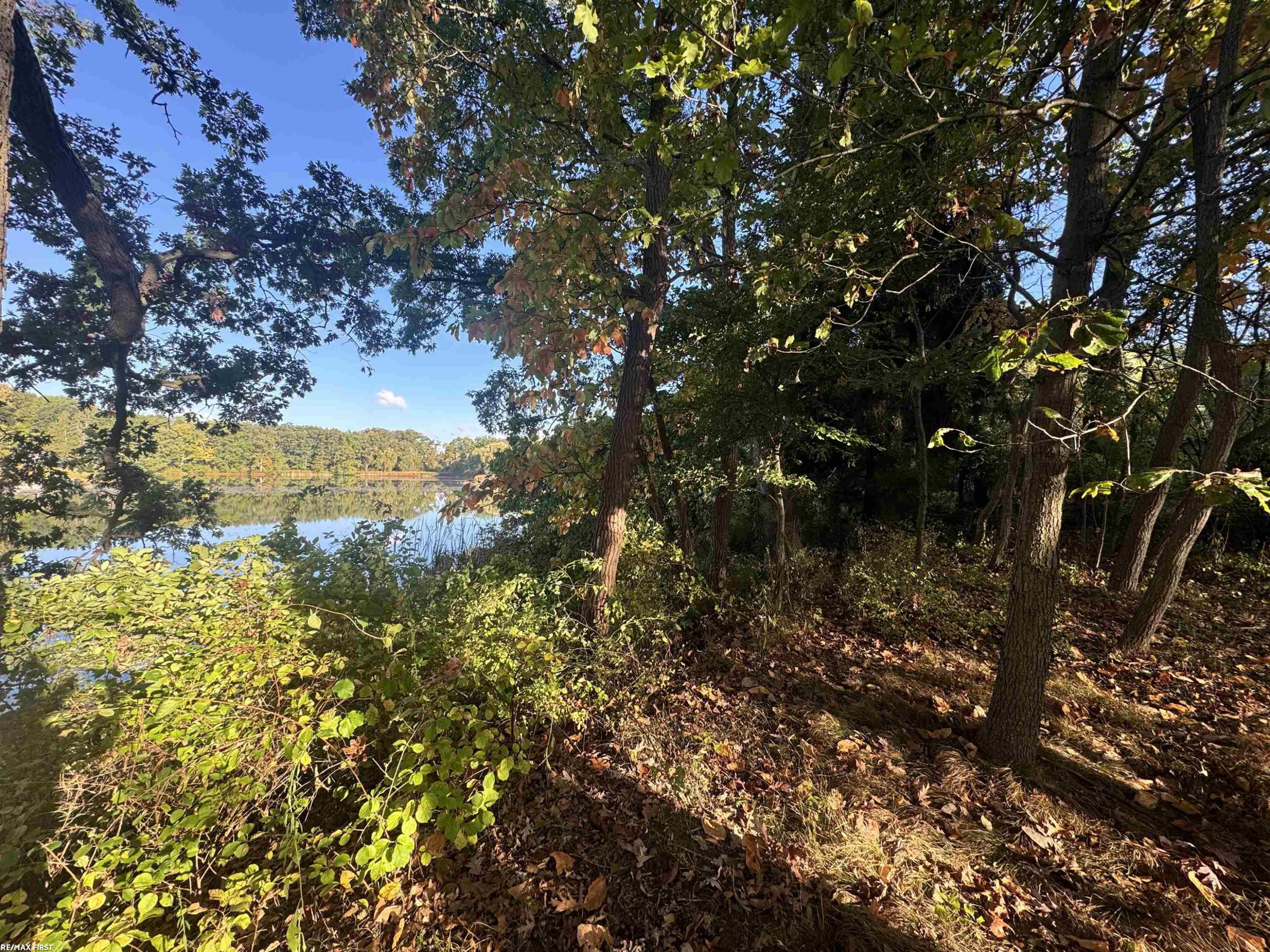 0000 Round Lake Lane, Leonard, MI 48367 — Photo 9