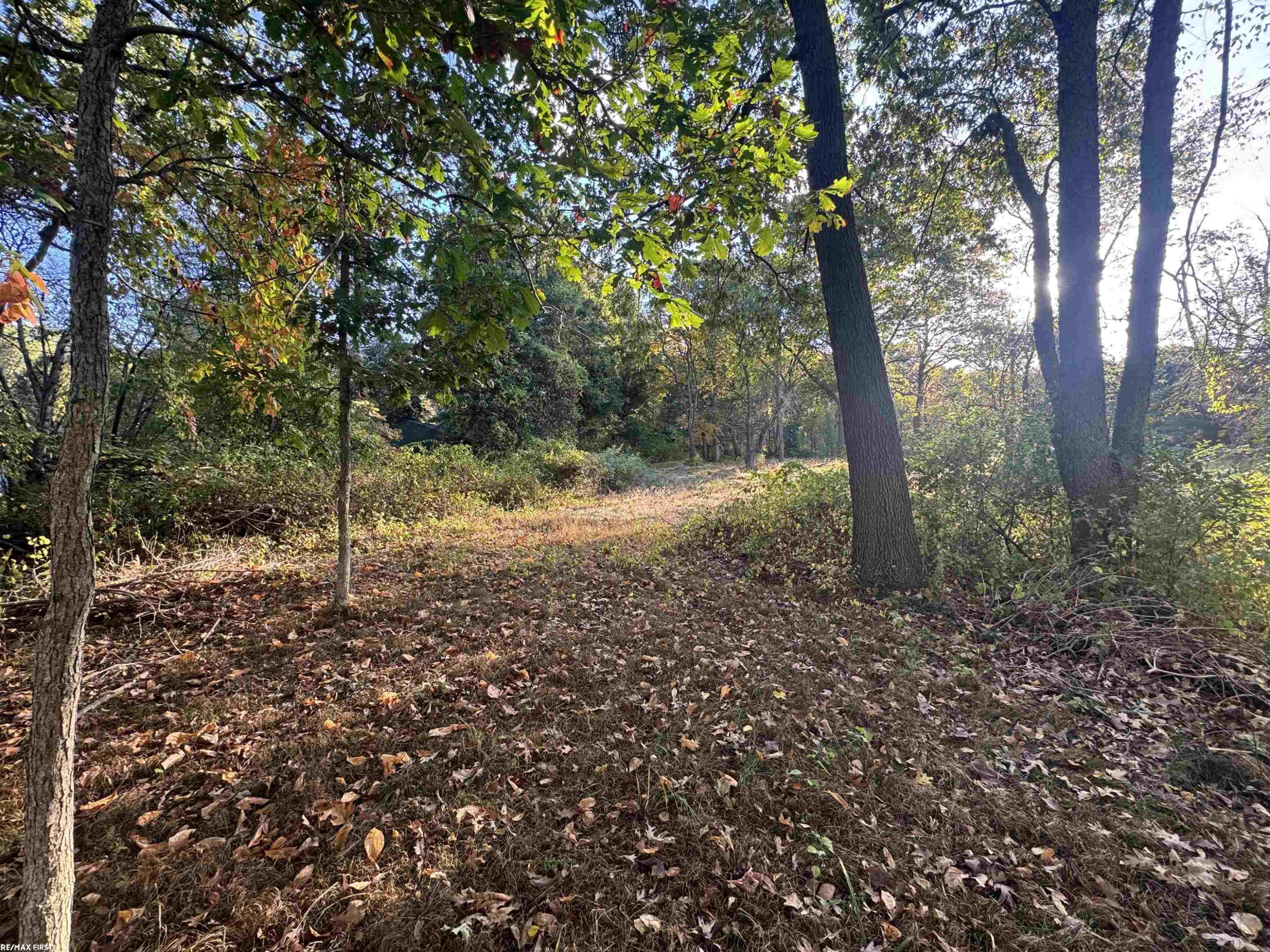 0000 Round Lake Lane, Leonard, MI 48367 — Photo 10