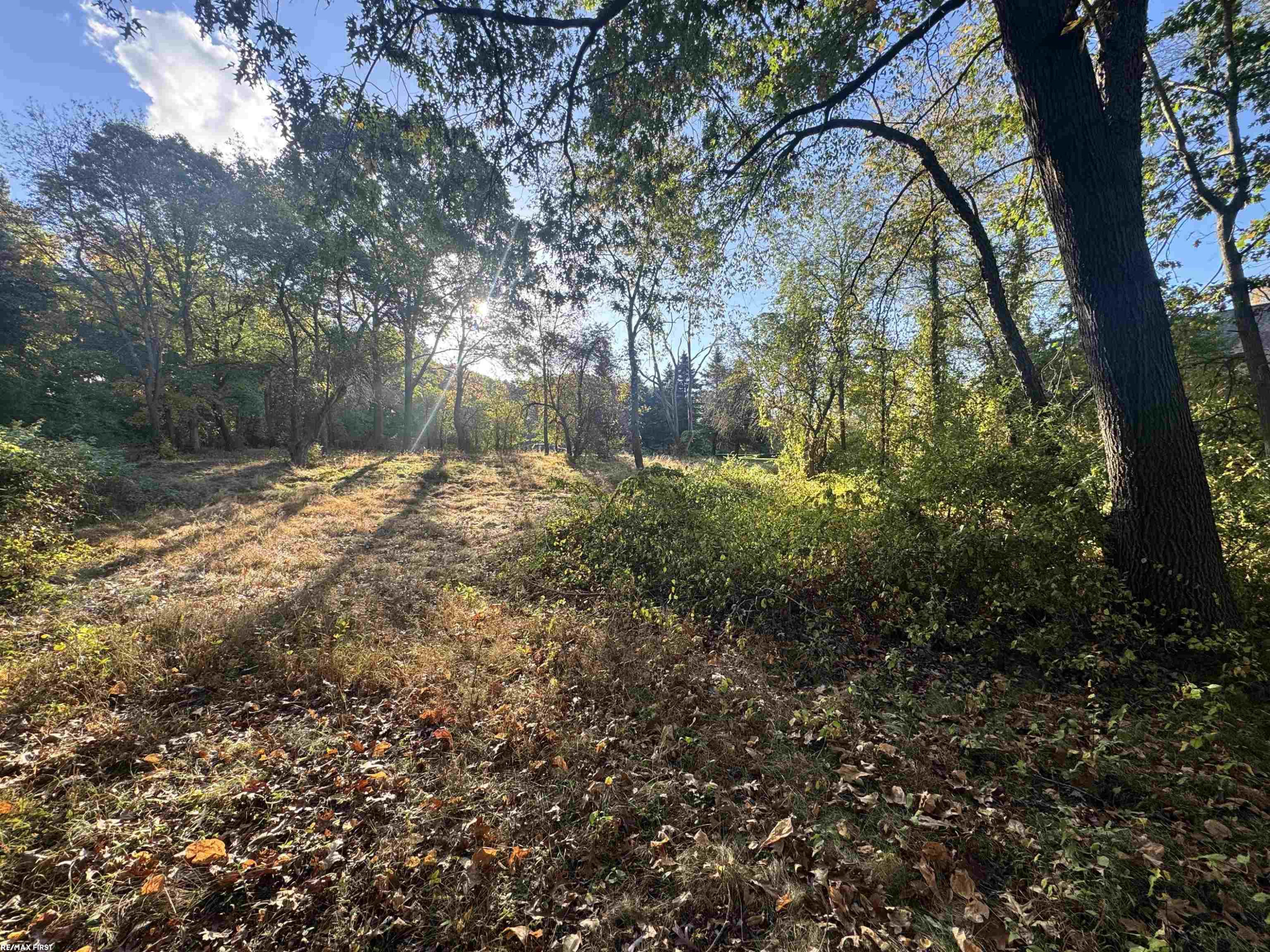 0000 Round Lake Lane, Leonard, MI 48367 — Photo 11