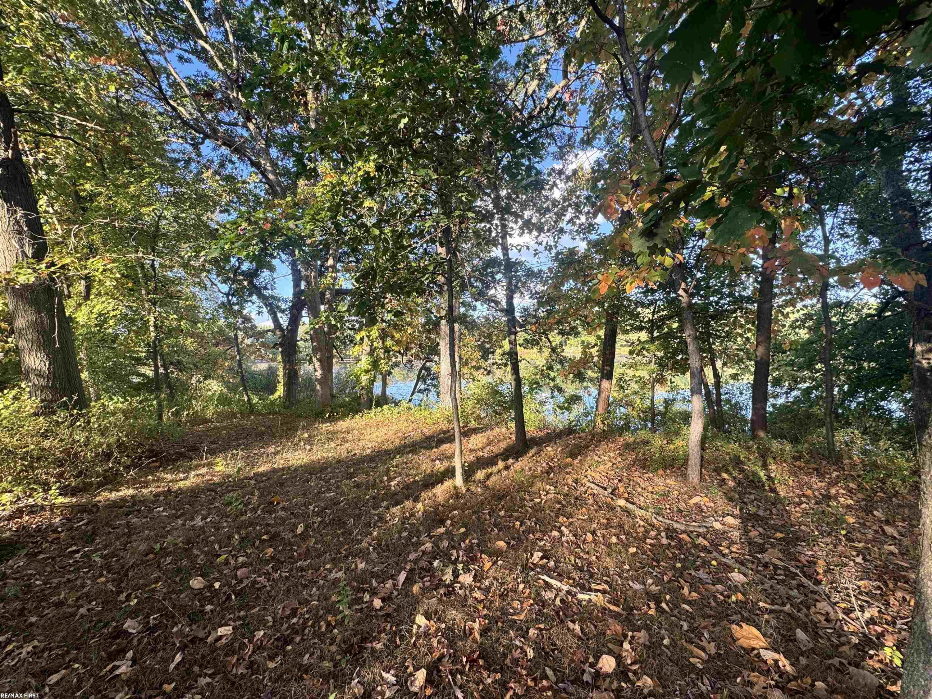 0000 Round Lake Lane, Leonard, MI 48367 — Photo 12