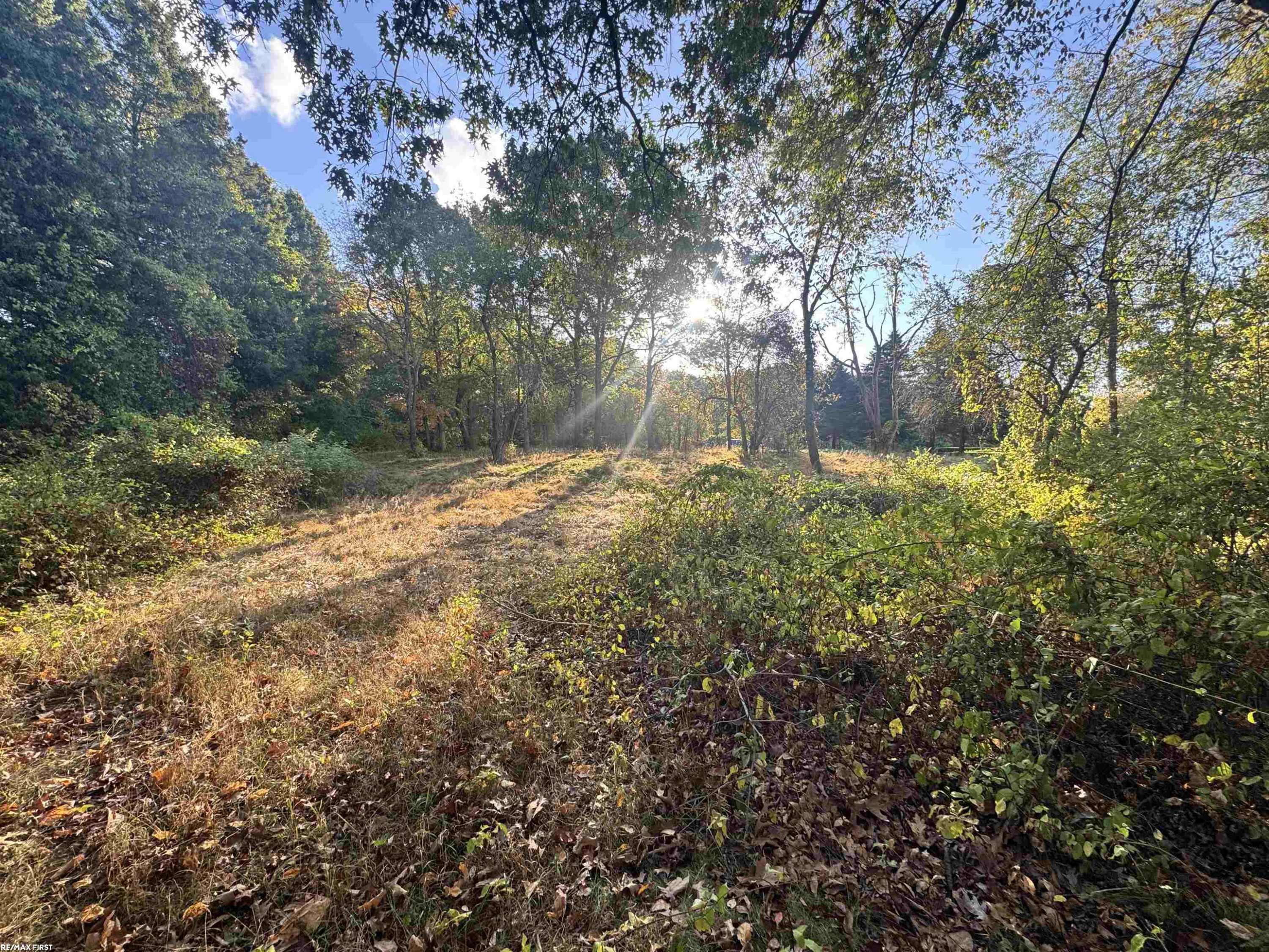 0000 Round Lake Lane, Leonard, MI 48367 — Photo 13