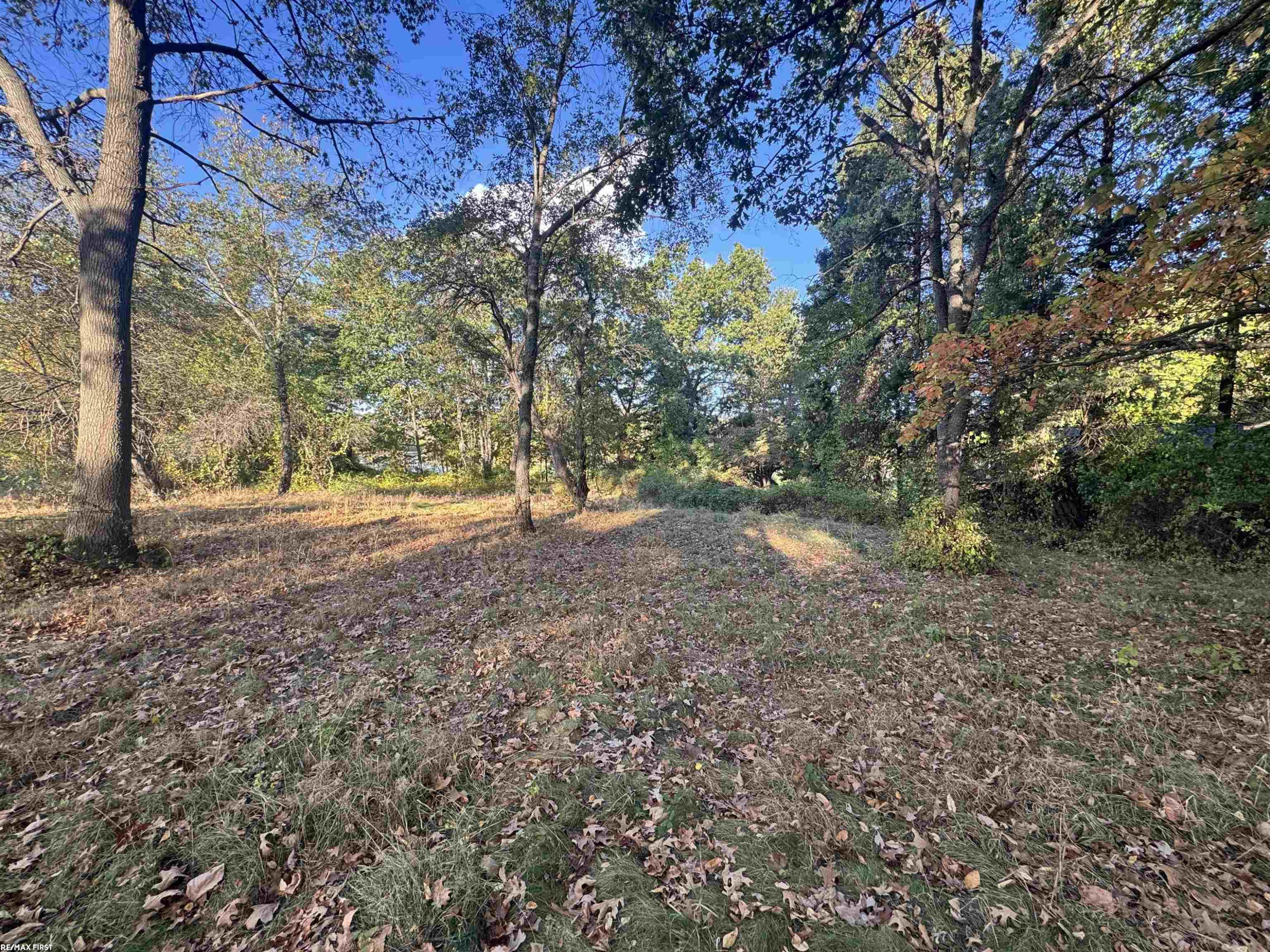 0000 Round Lake Lane, Leonard, MI 48367 — Photo 14