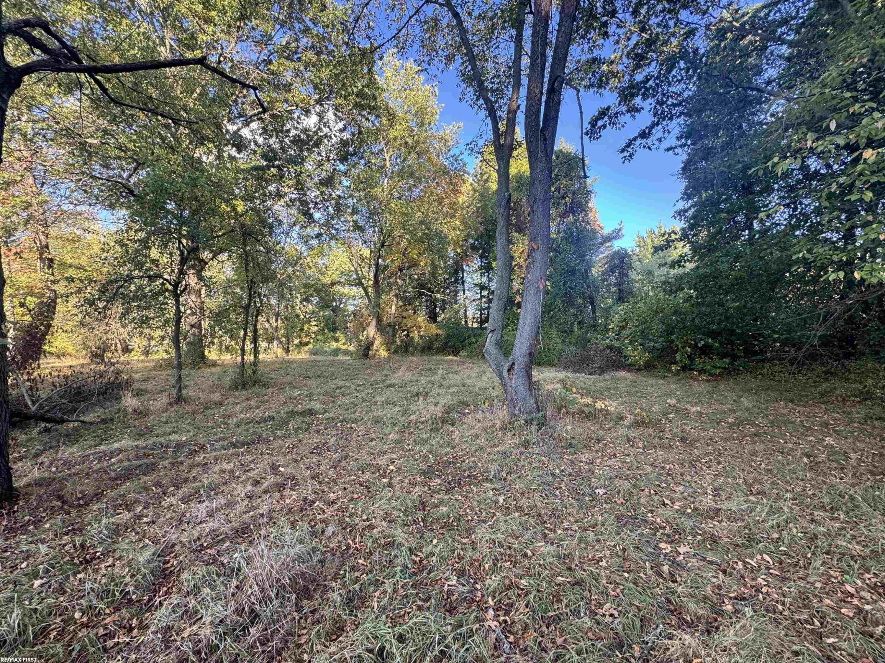 0000 Round Lake Lane, Leonard, MI 48367 — Photo 15