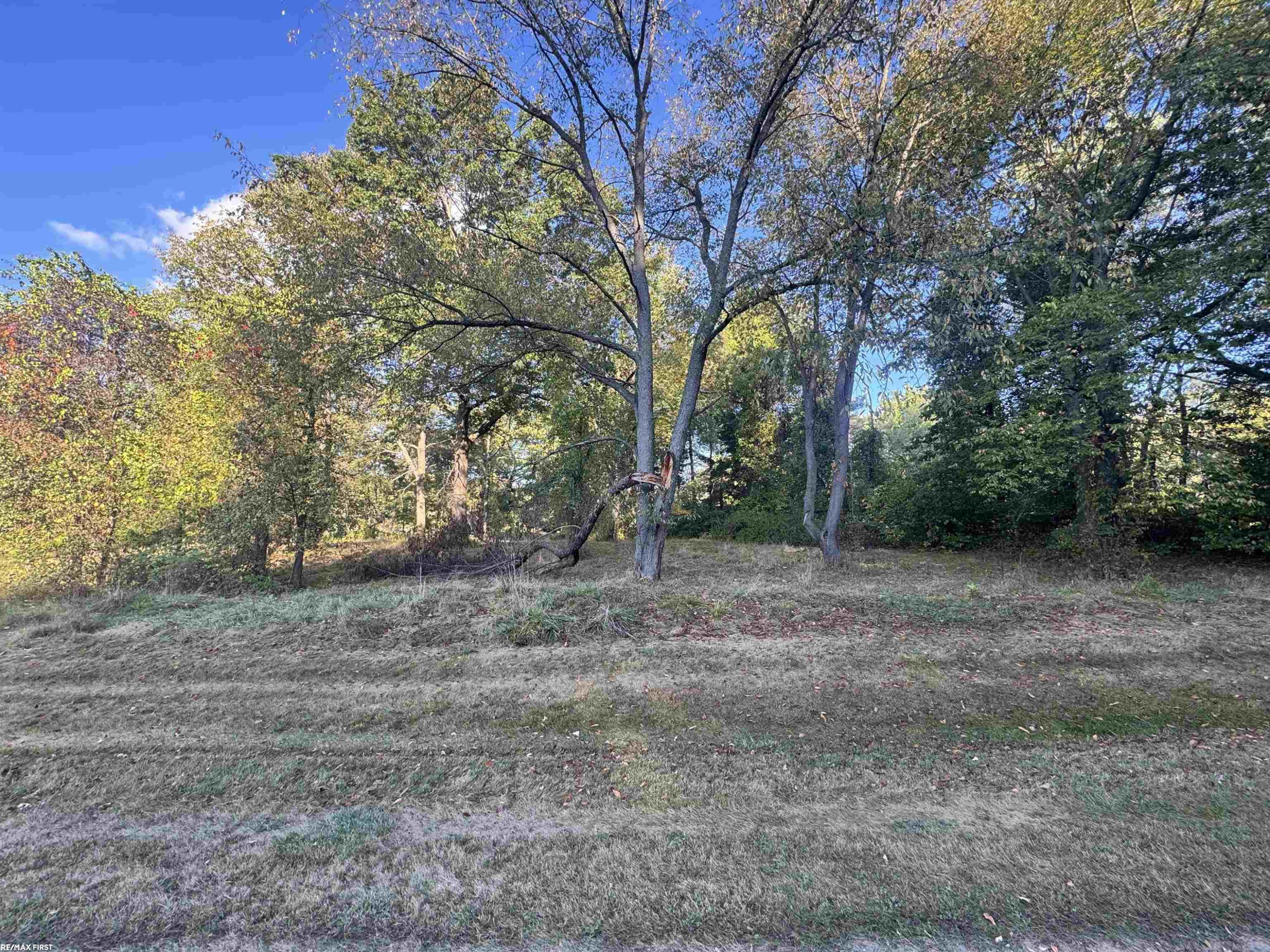 0000 Round Lake Lane, Leonard, MI 48367 — Photo 16