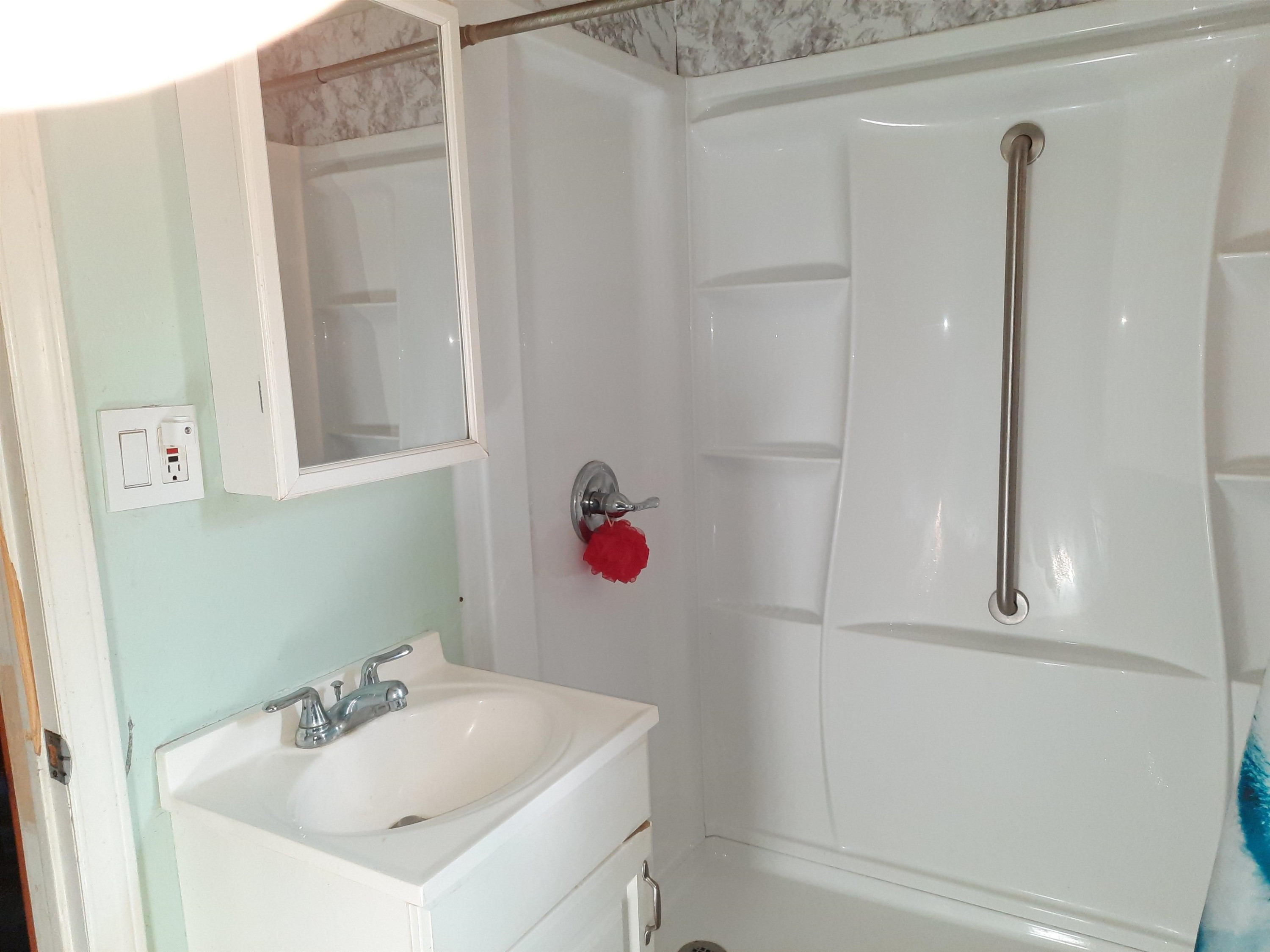 204 W Pine Street, Elsie, MI 48831 — Photo 11