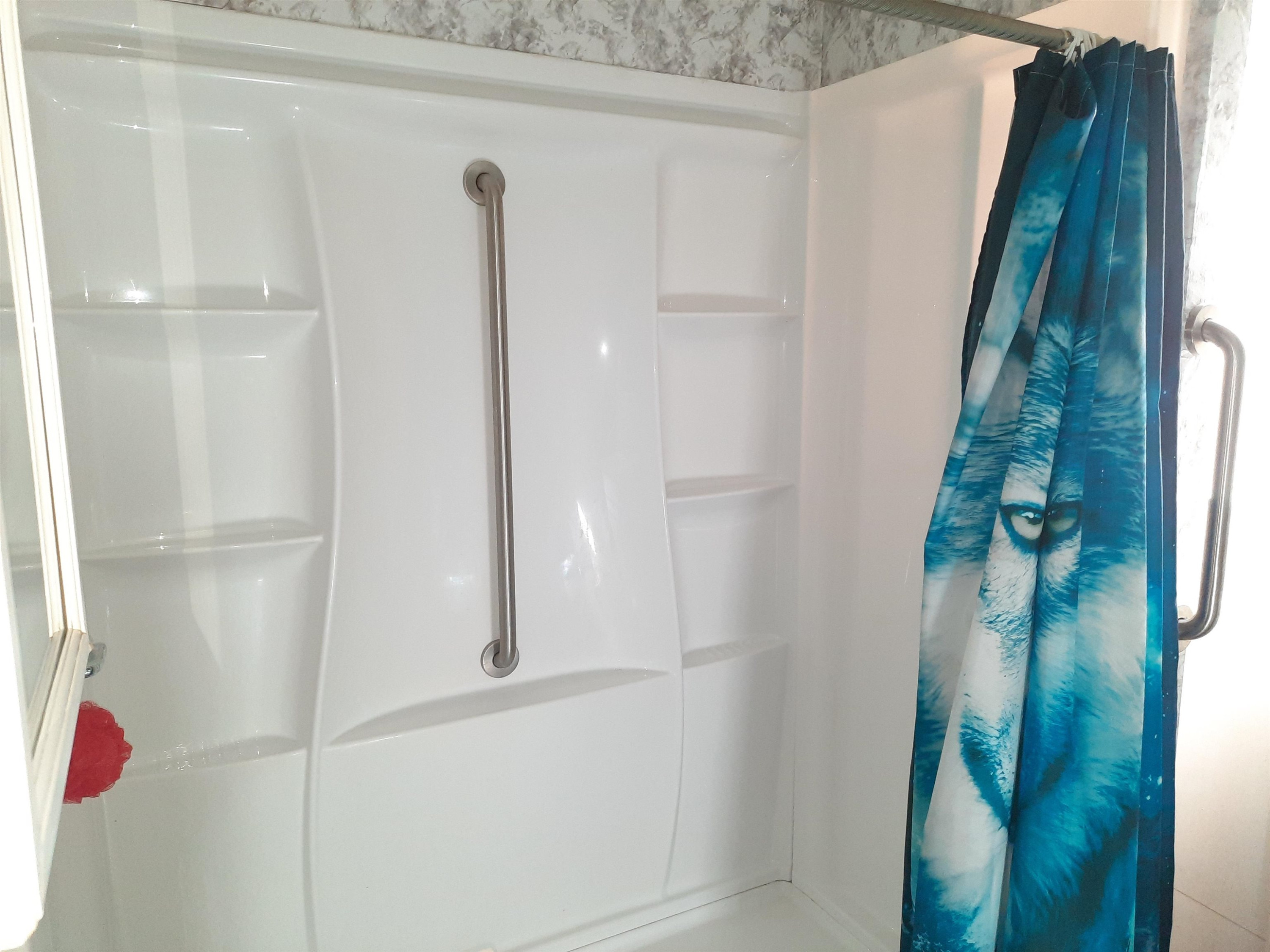204 W Pine Street, Elsie, MI 48831 — Photo 13