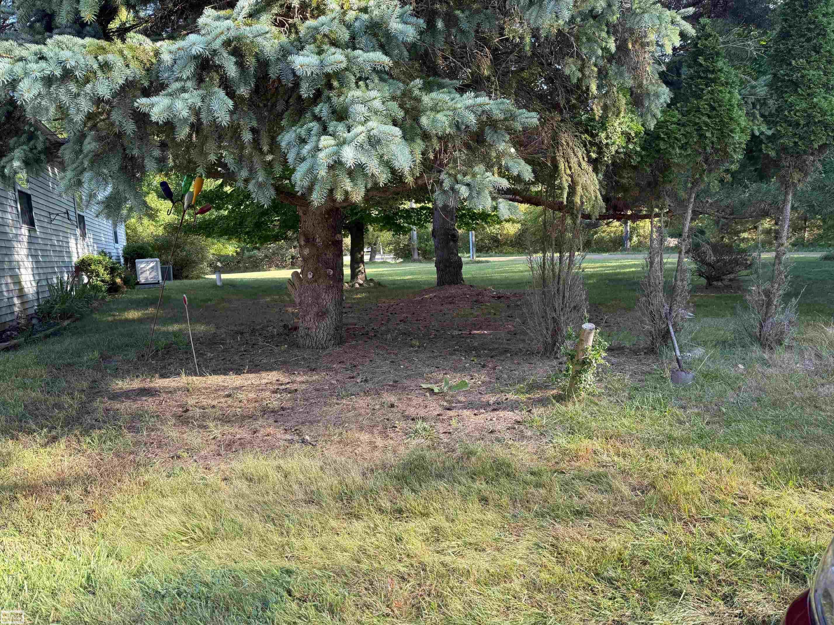 2173 N Youngs Road, Attica, MI 48412 — Photo 23