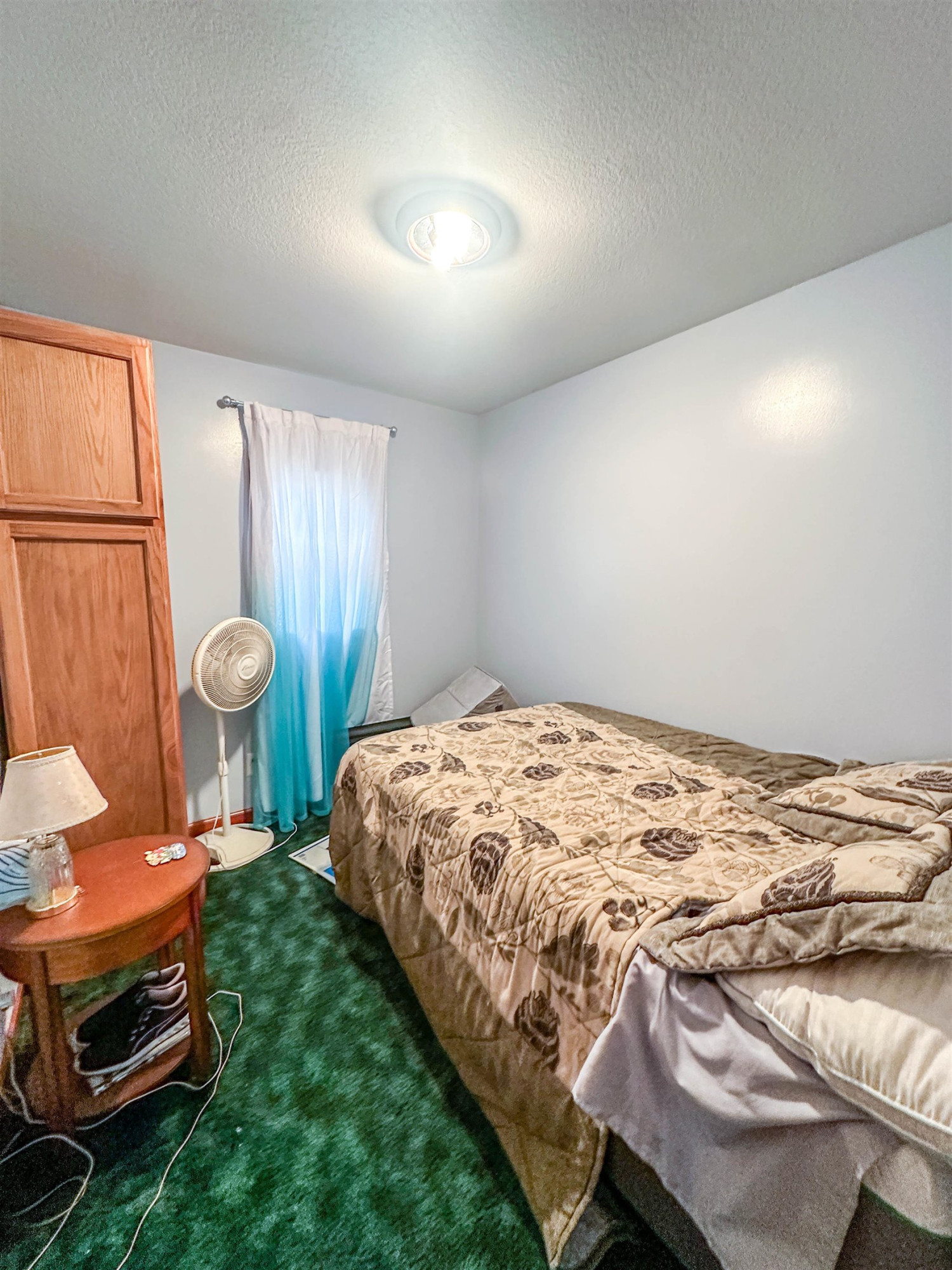 3279 Handrich Drive, Curran, MI 48728 — Photo 10
