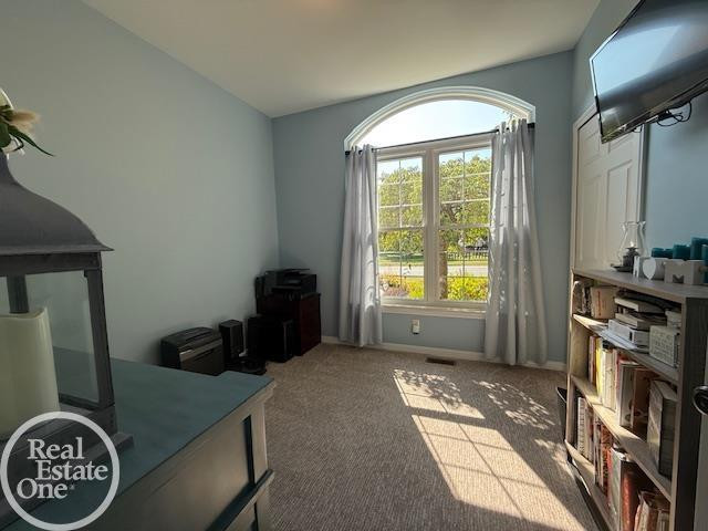 34673 Apple Blossom Lane, Richmond, MI 48062 — Photo 46