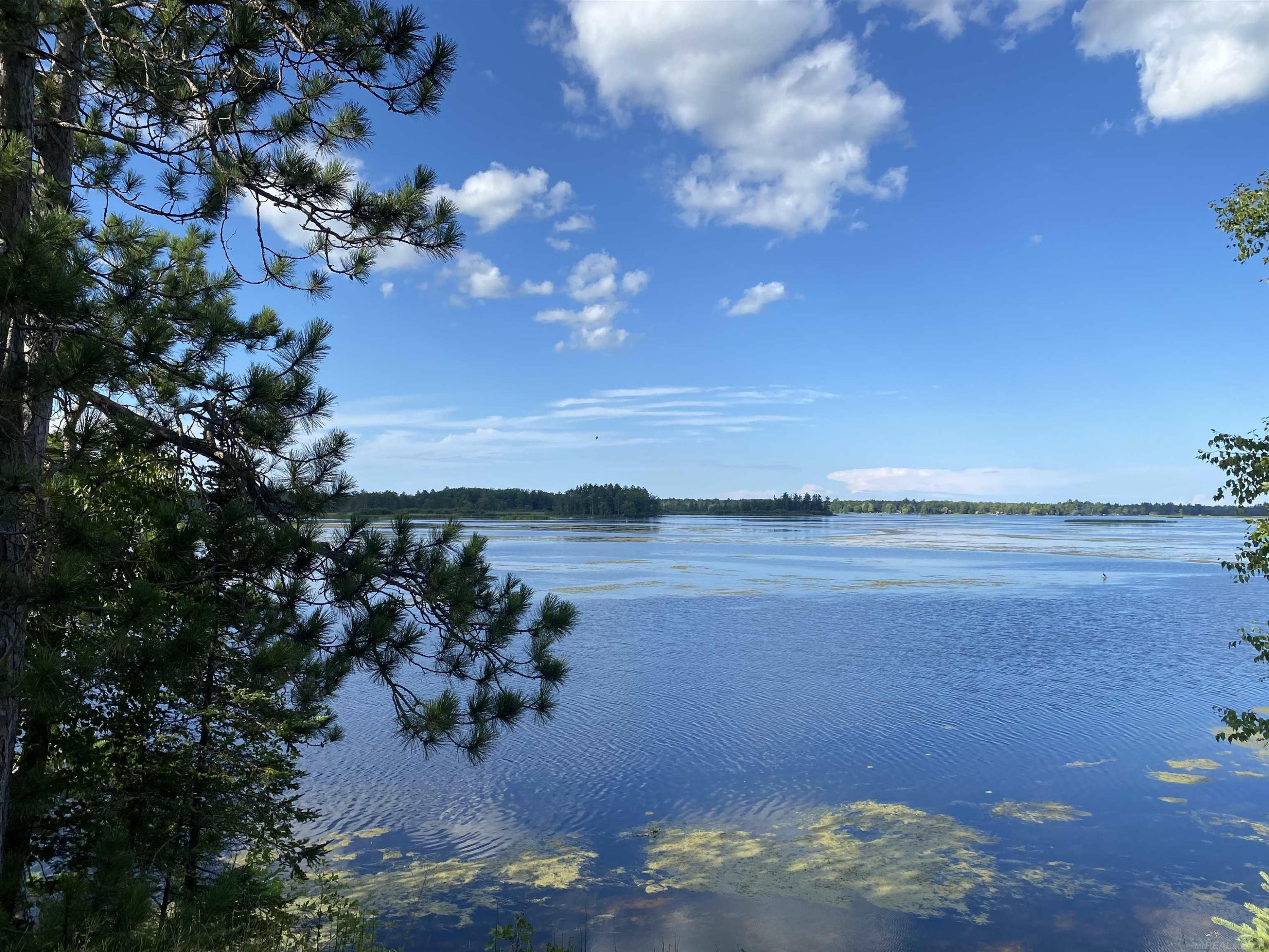 4001 SANDALL Road, Alpena, MI 49707 — Photo 11