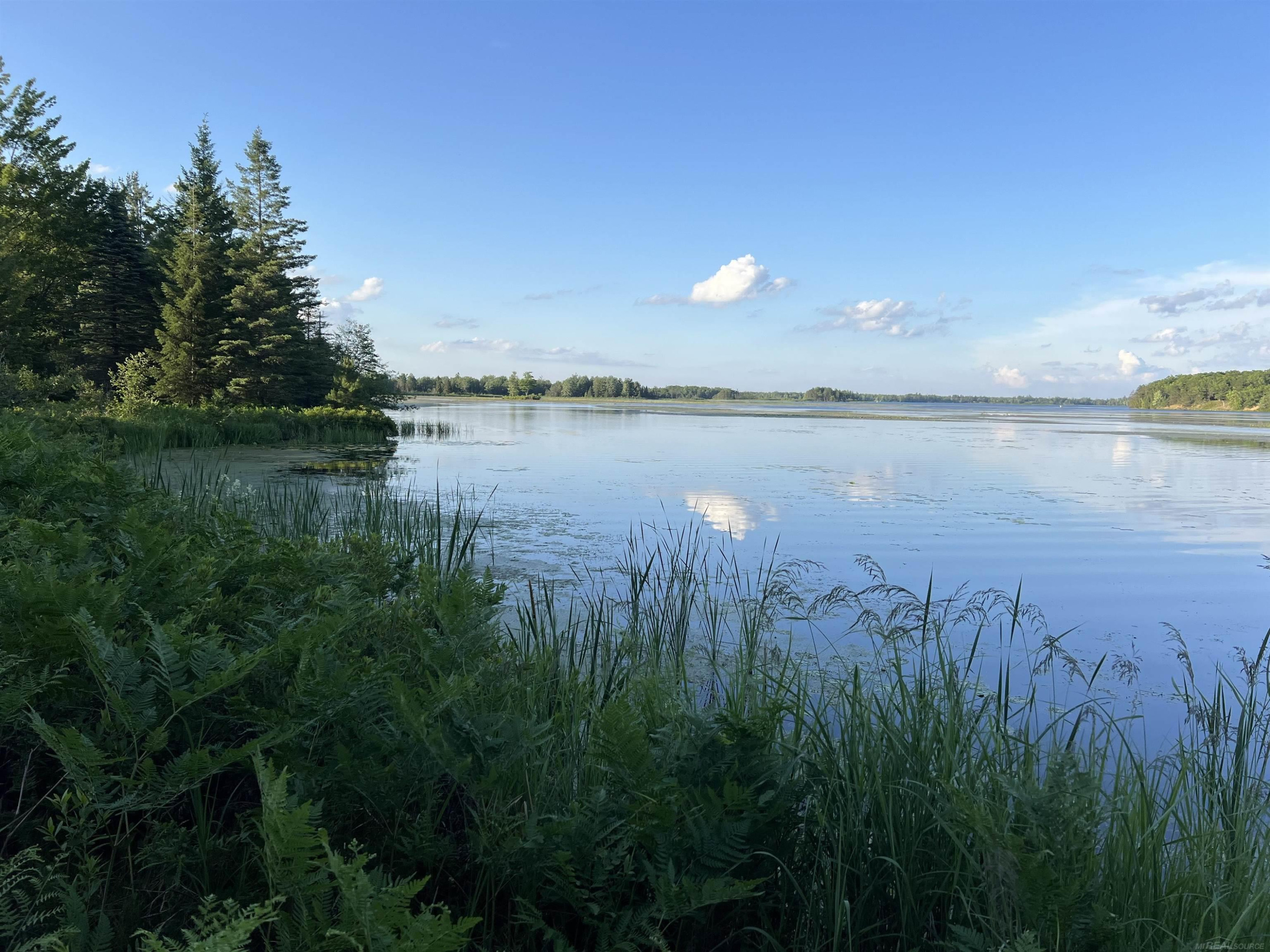 4001 SANDALL Road, Alpena, MI 49707 — Photo 16