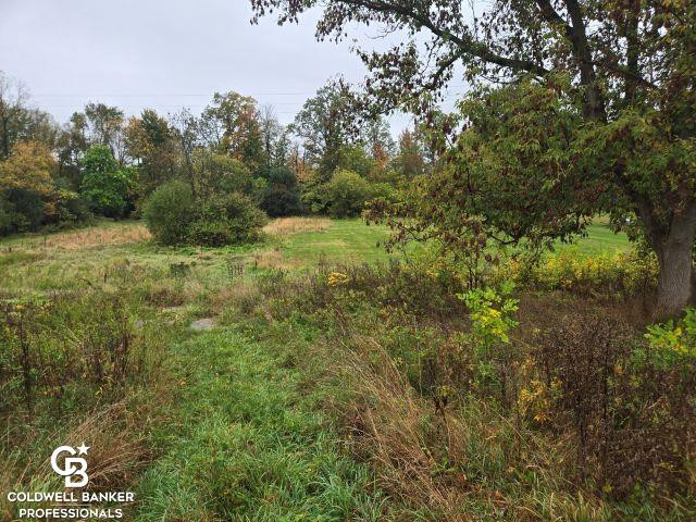 209 S Brockway Road, Yale, MI 48097 — Photo 30