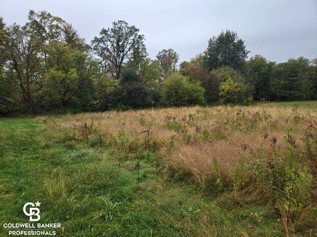 209 S Brockway Road, Yale, MI 48097 — Photo 31