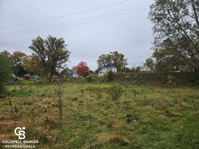 209 S Brockway Road, Yale, MI 48097 — Photo 32