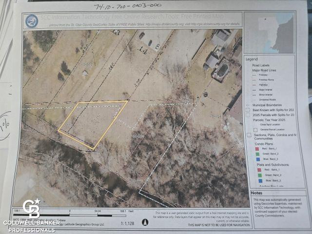 209 S Brockway Road, Yale, MI 48097 — Photo 38
