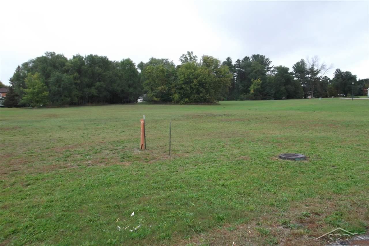00 Adam Ridge, Sebewaing, MI 48759 — Photo 4