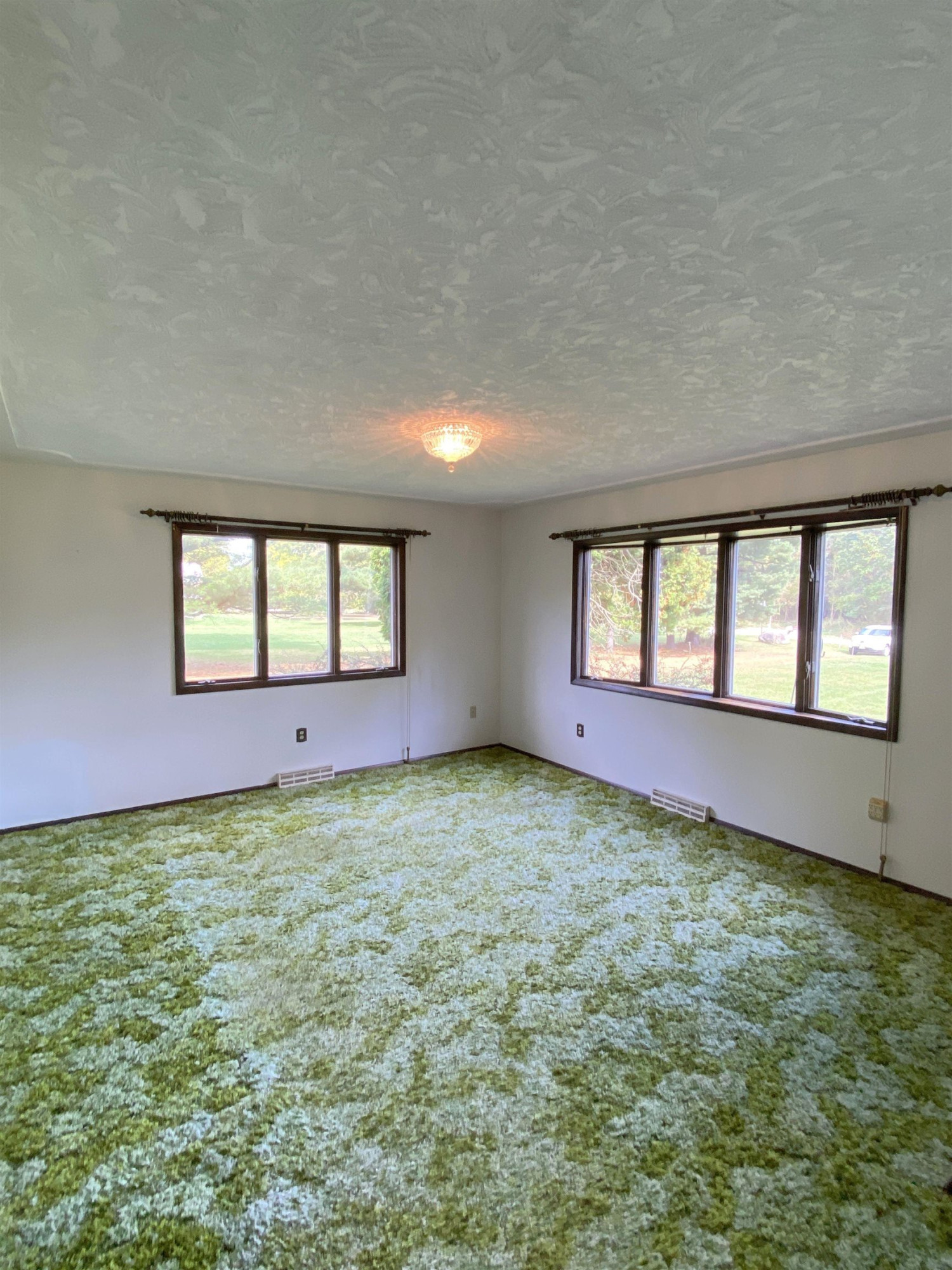 12500 Warner Road, Laingsburg, MI 48848 — Photo 9