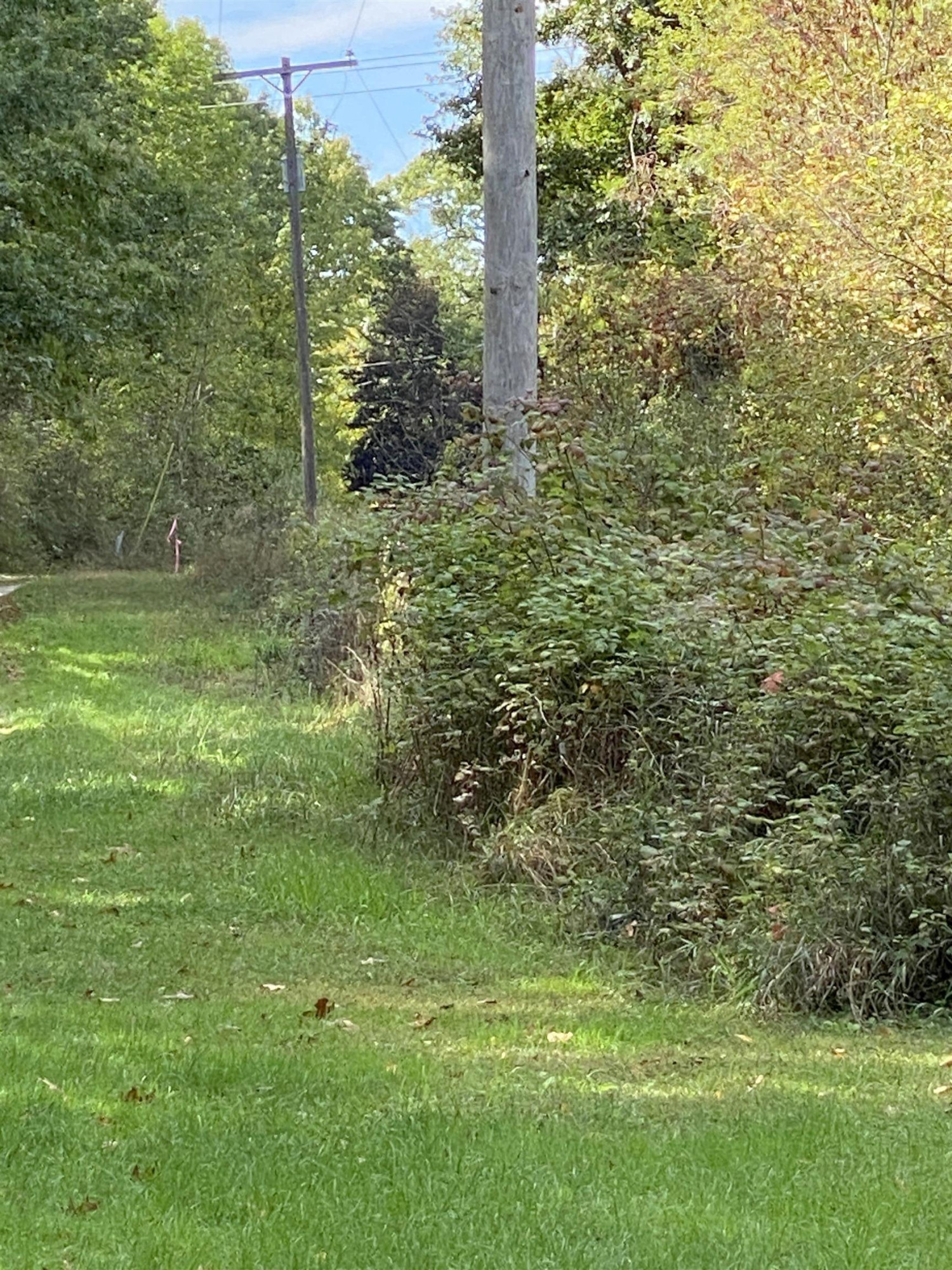 12500 Warner Road, Laingsburg, MI 48848 — Photo 23