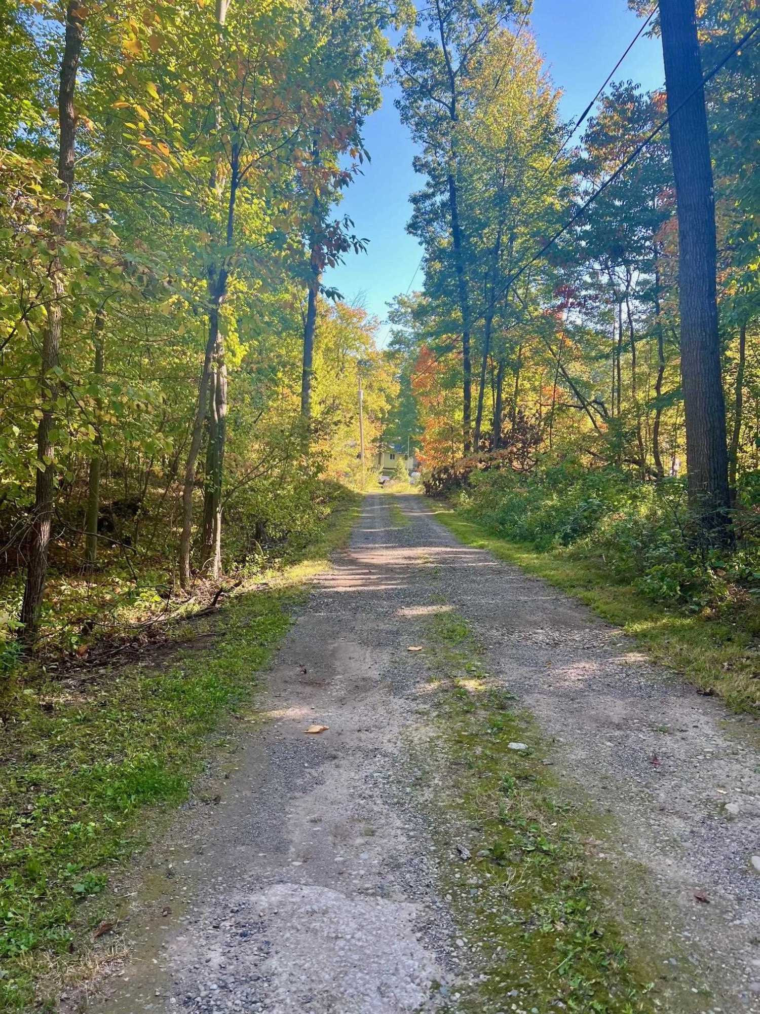 7644 Dilley Road, Davisburg, MI 48350 — Photo 2