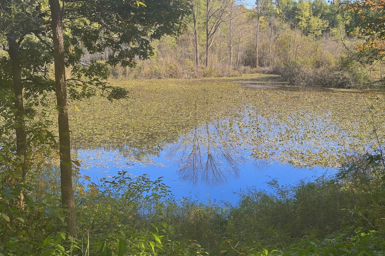 7644 Dilley Road, Davisburg, MI 48350 — Photo 15